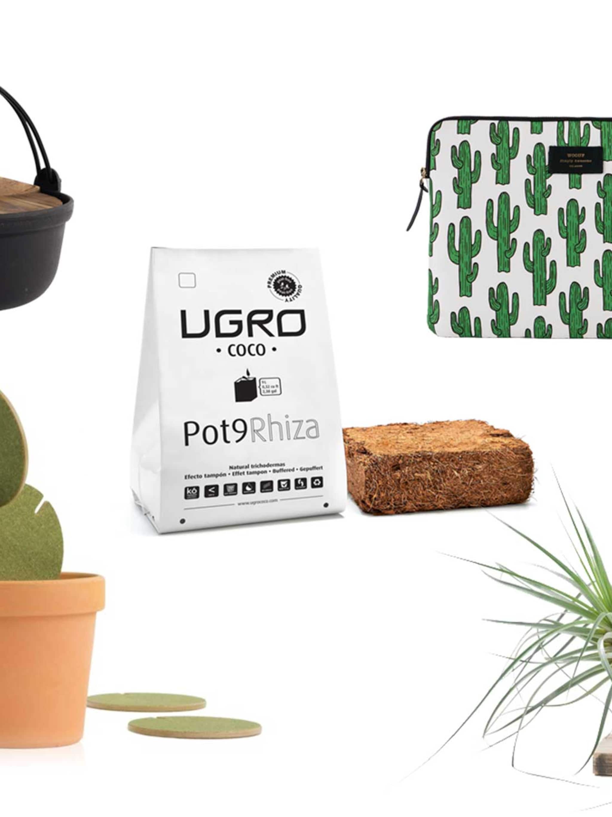 10x groene musthaves
