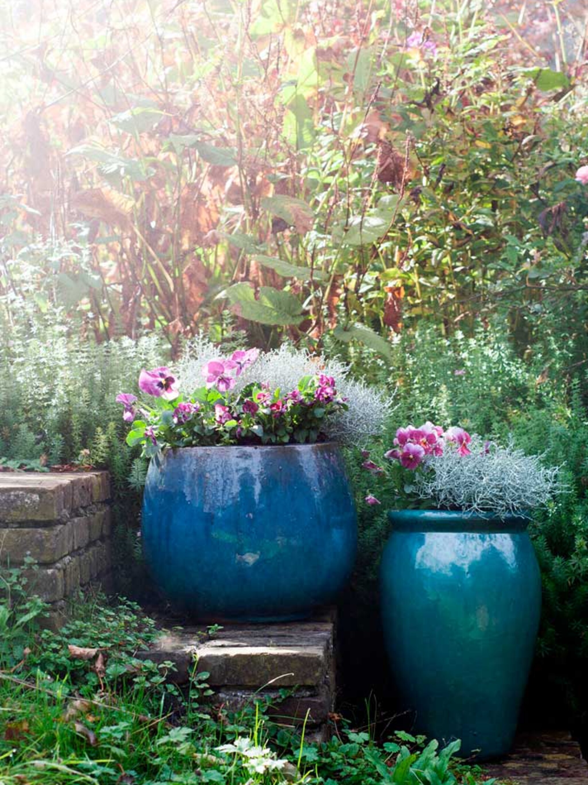 tuintrends voor de herfst