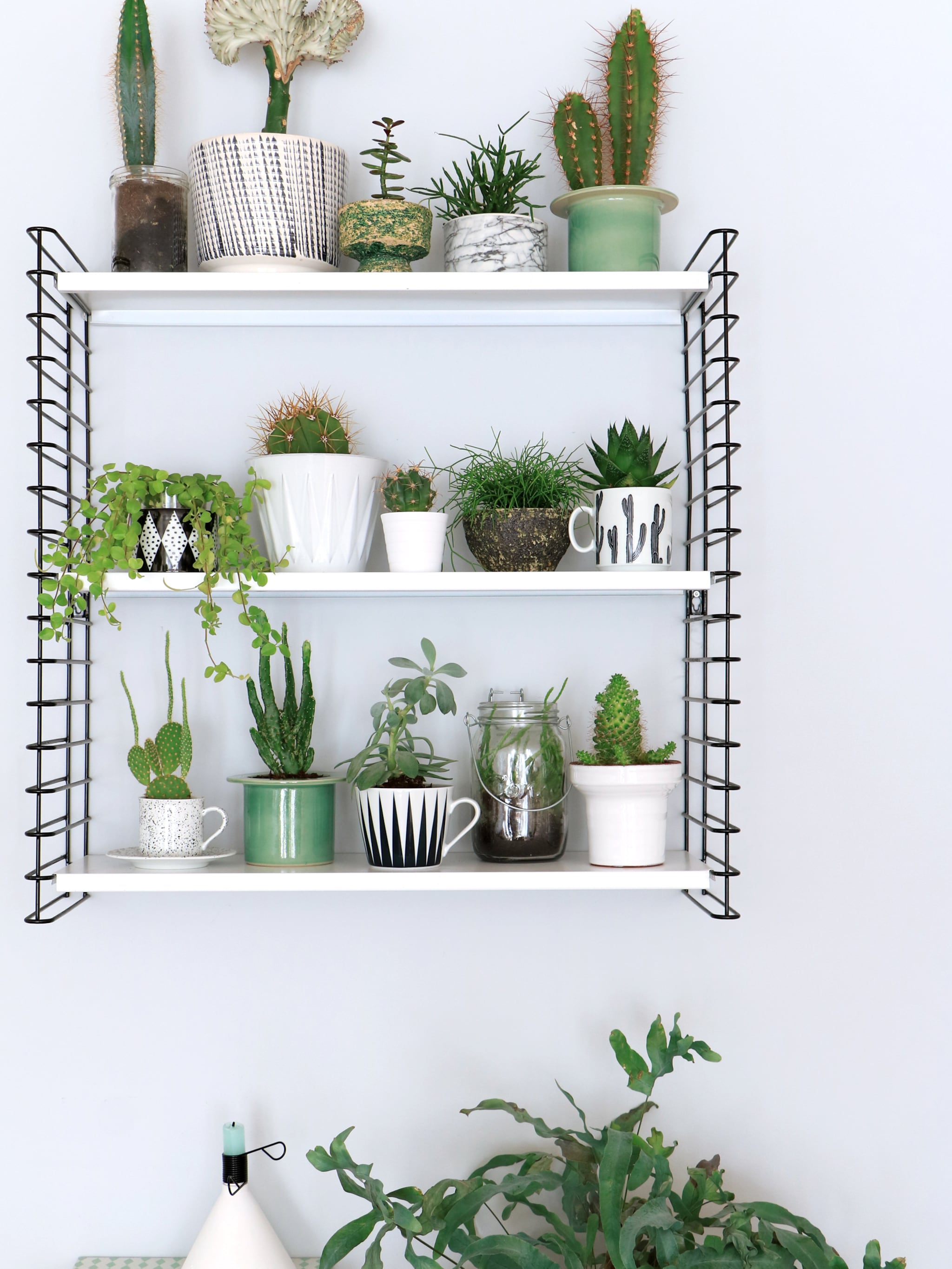 3x stylen met bloempotten