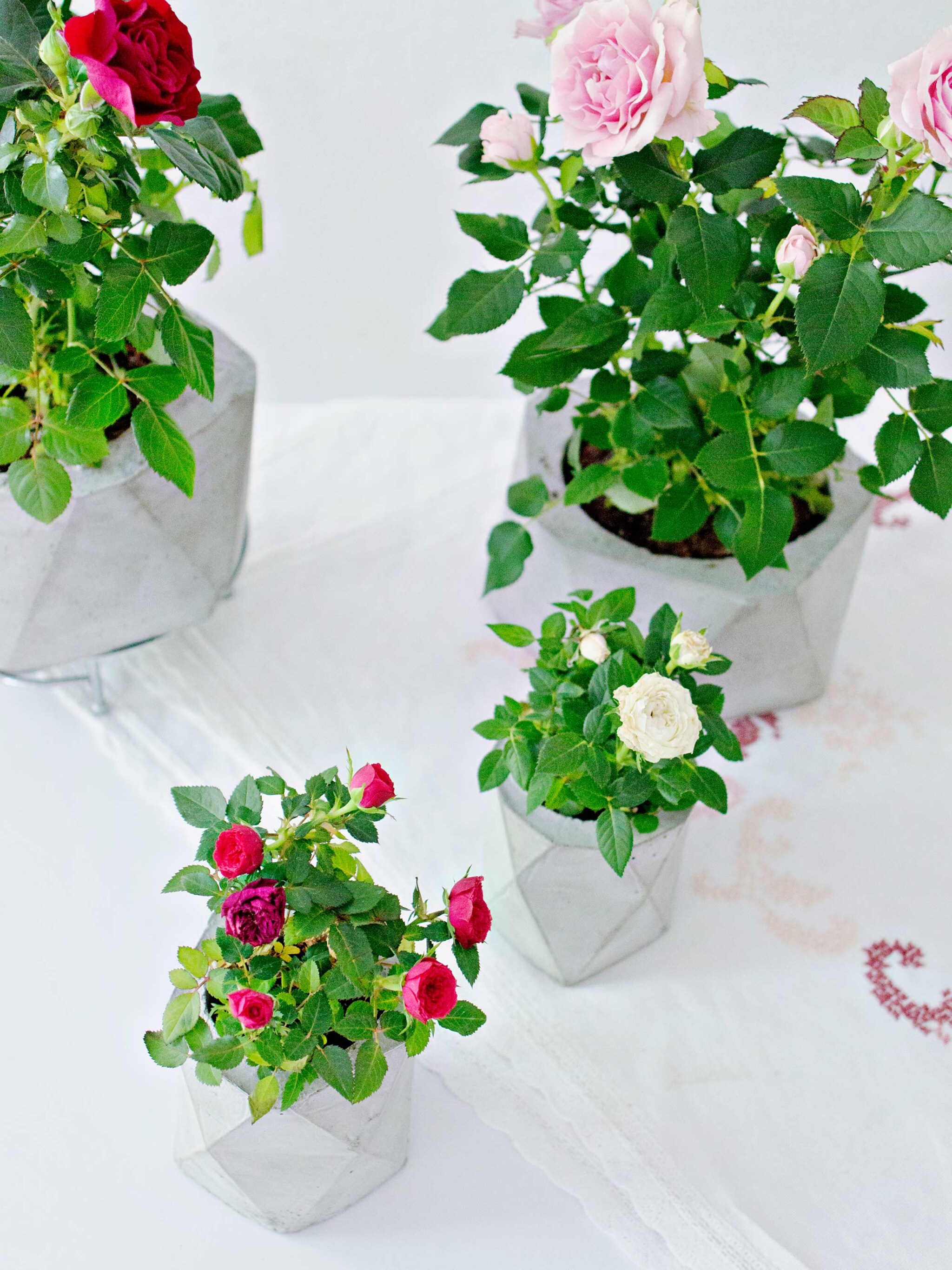 diy betonnen origami bloempot van lana red