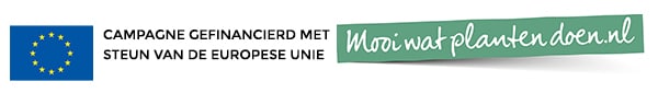 beeld vtwonen