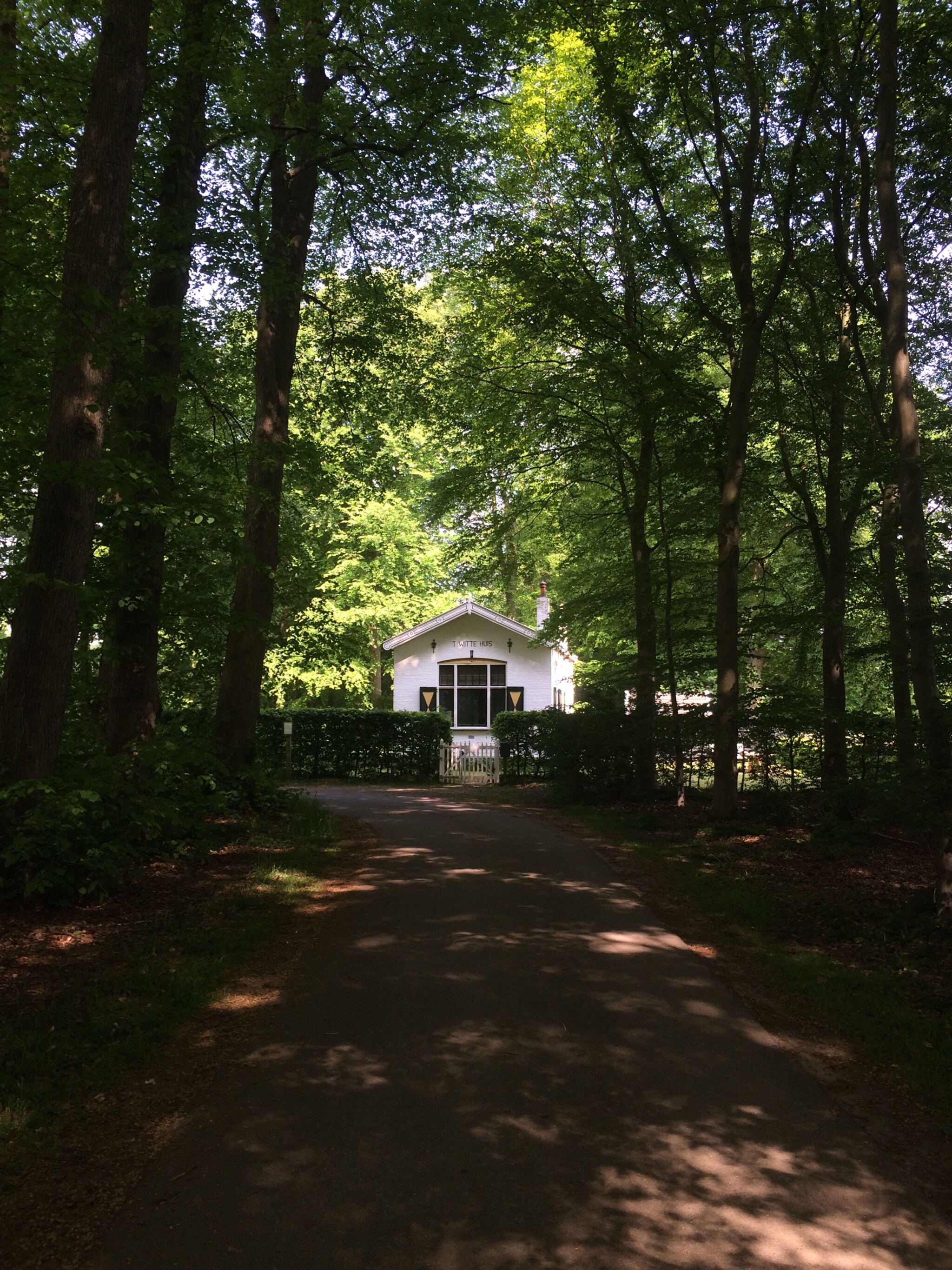 wegdromen in t witte huis