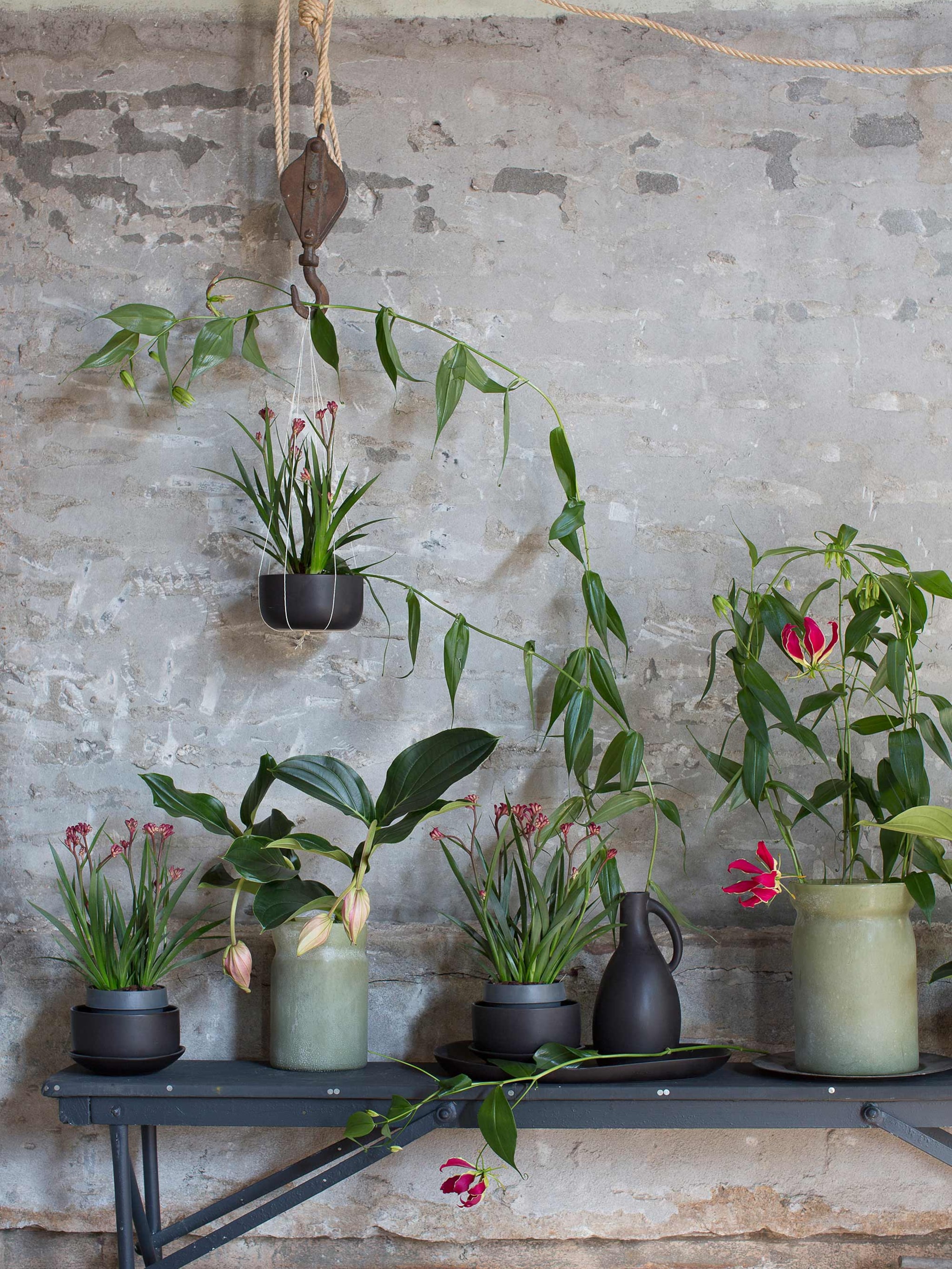 kleuren feest tropische planten in huis