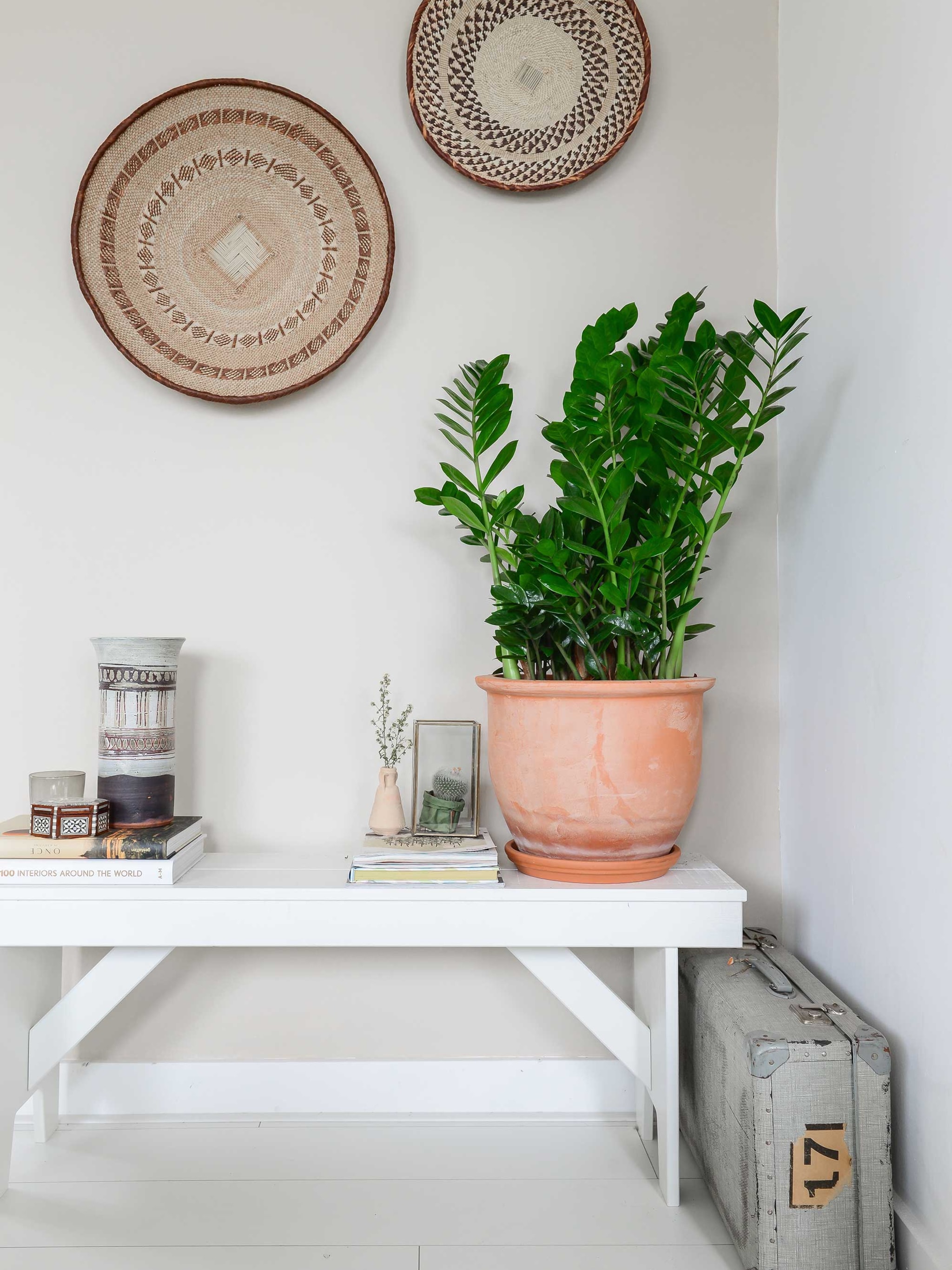 bij binti home afrikaanse sferen met de zamioculcas