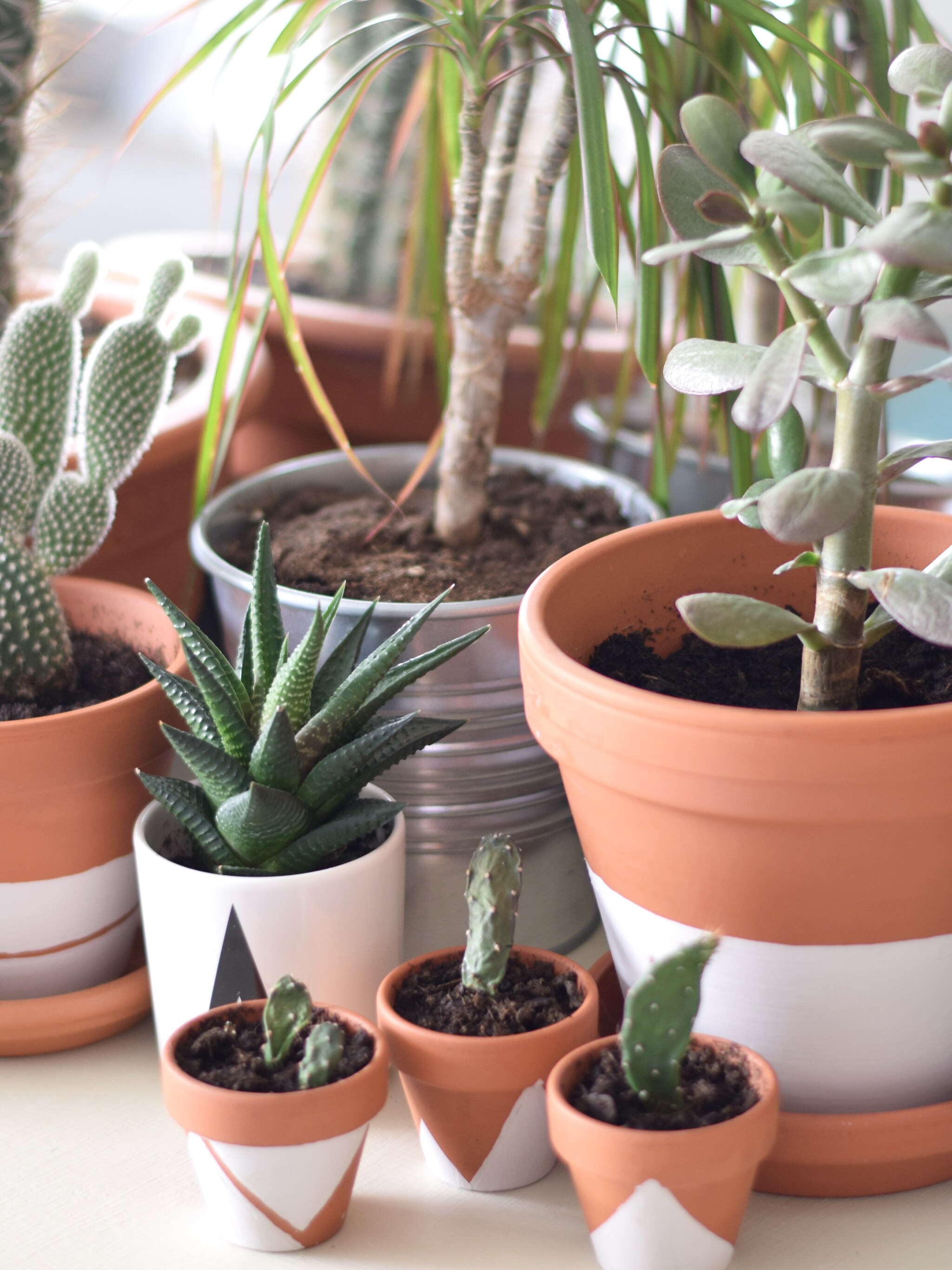 dip dye terracotta plantenpot