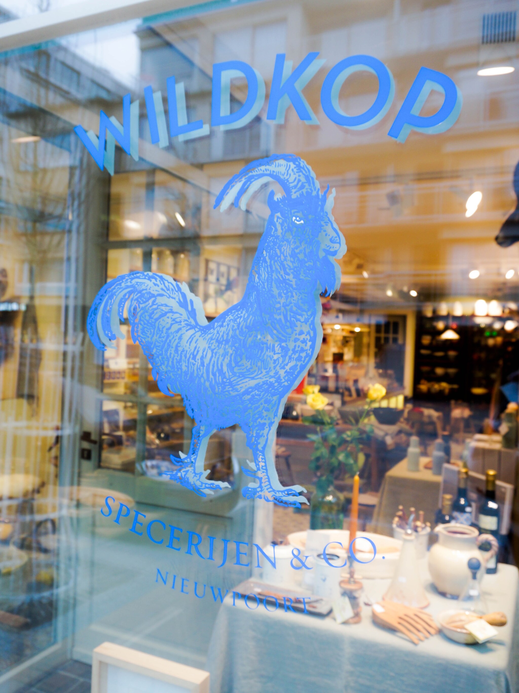 wild van wildkop in nieuwpoort