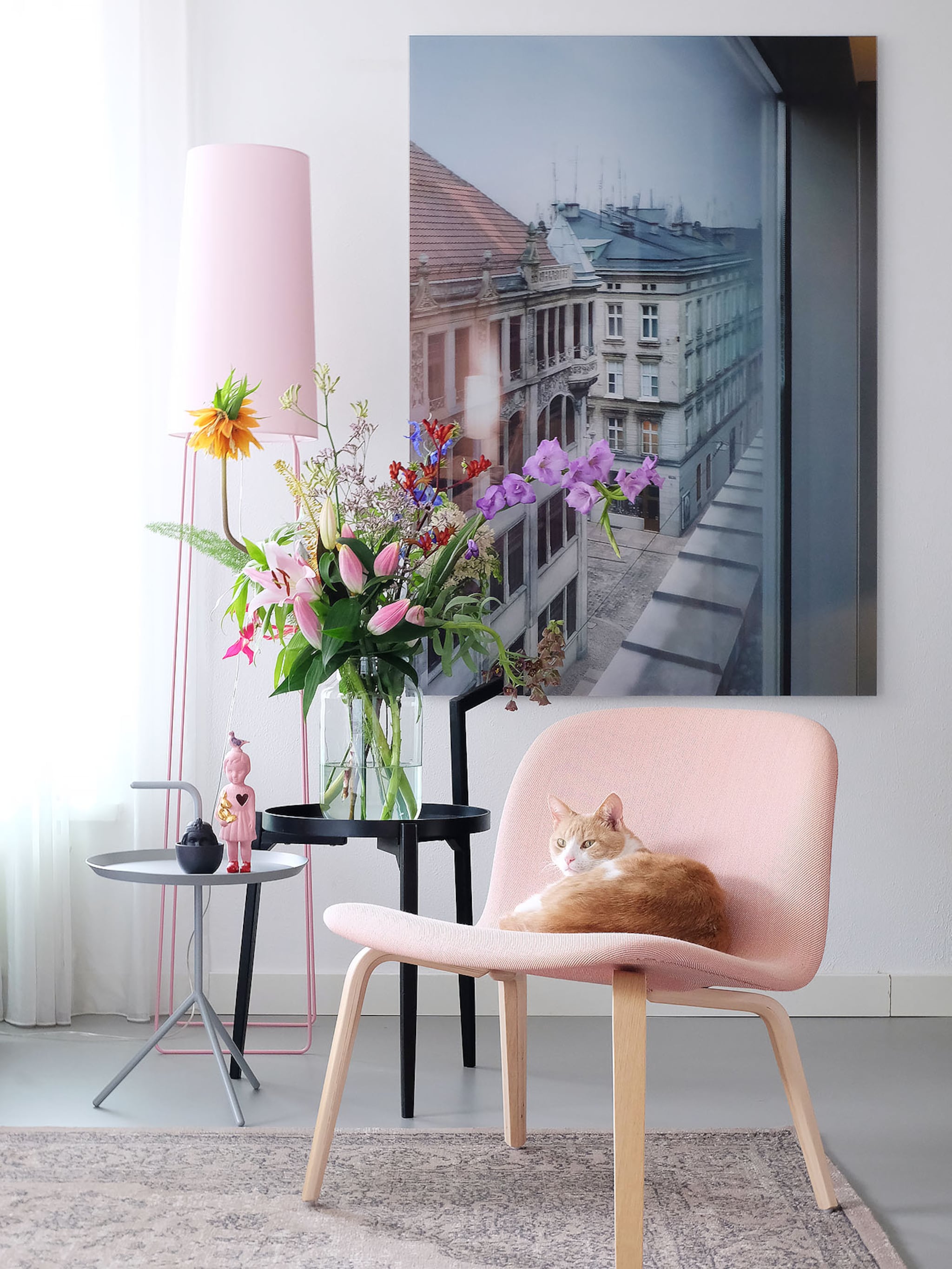 roze in huis prchtg