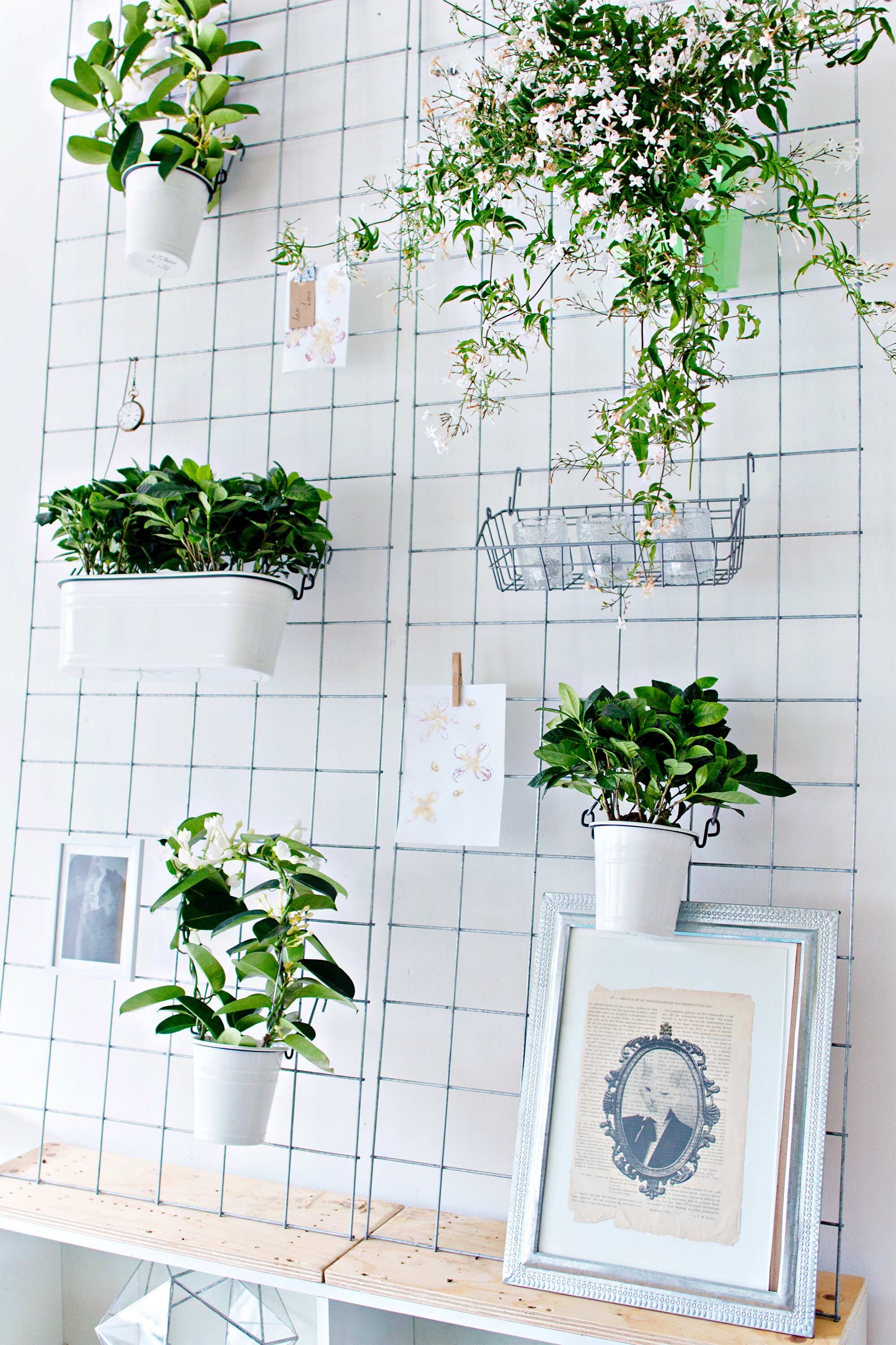 Twee zelfgemaakte witte plantenrekken naast elkaar met diverse planten en een fotolijstje