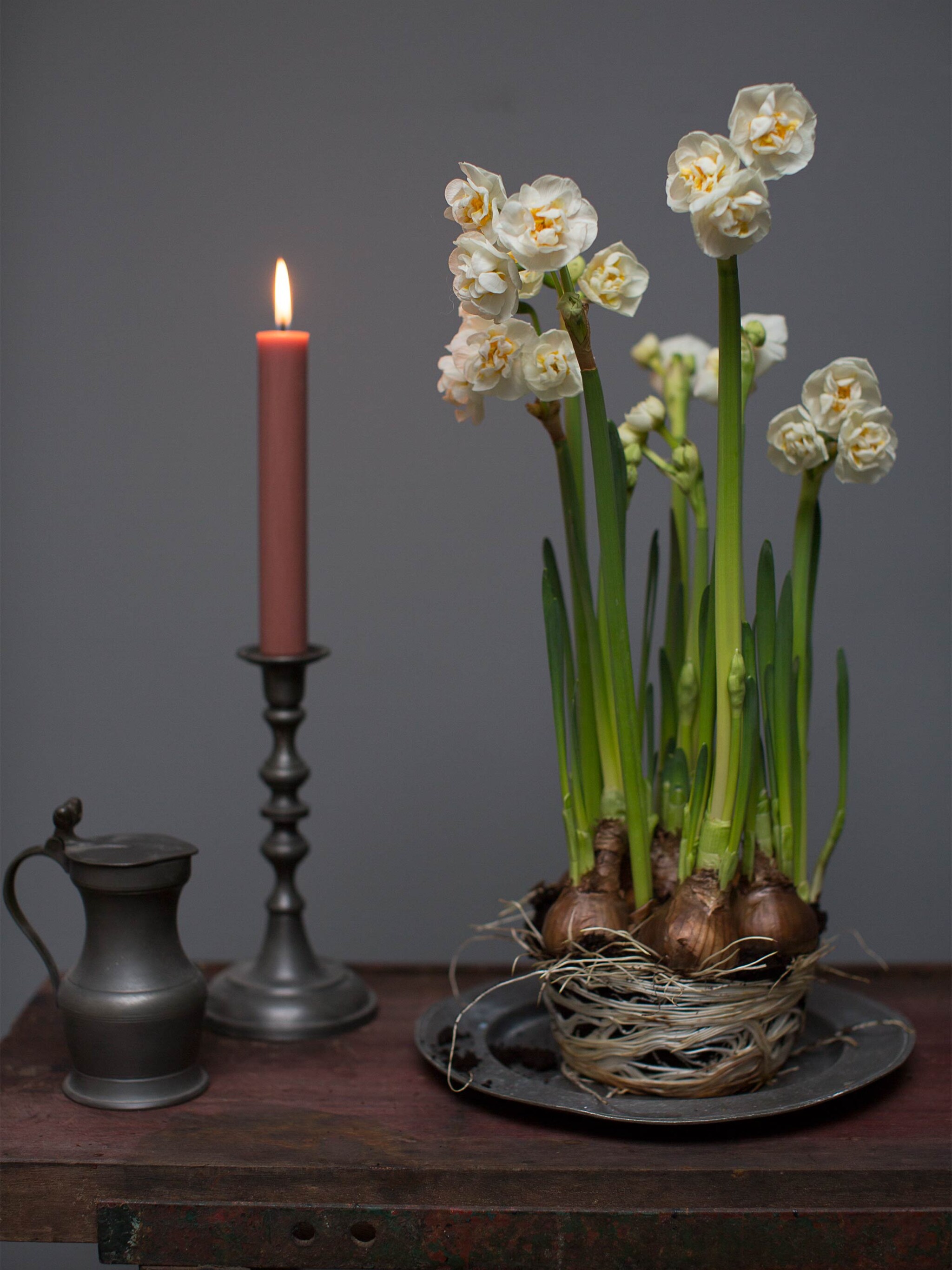 vrolijke narcissen geel op steel