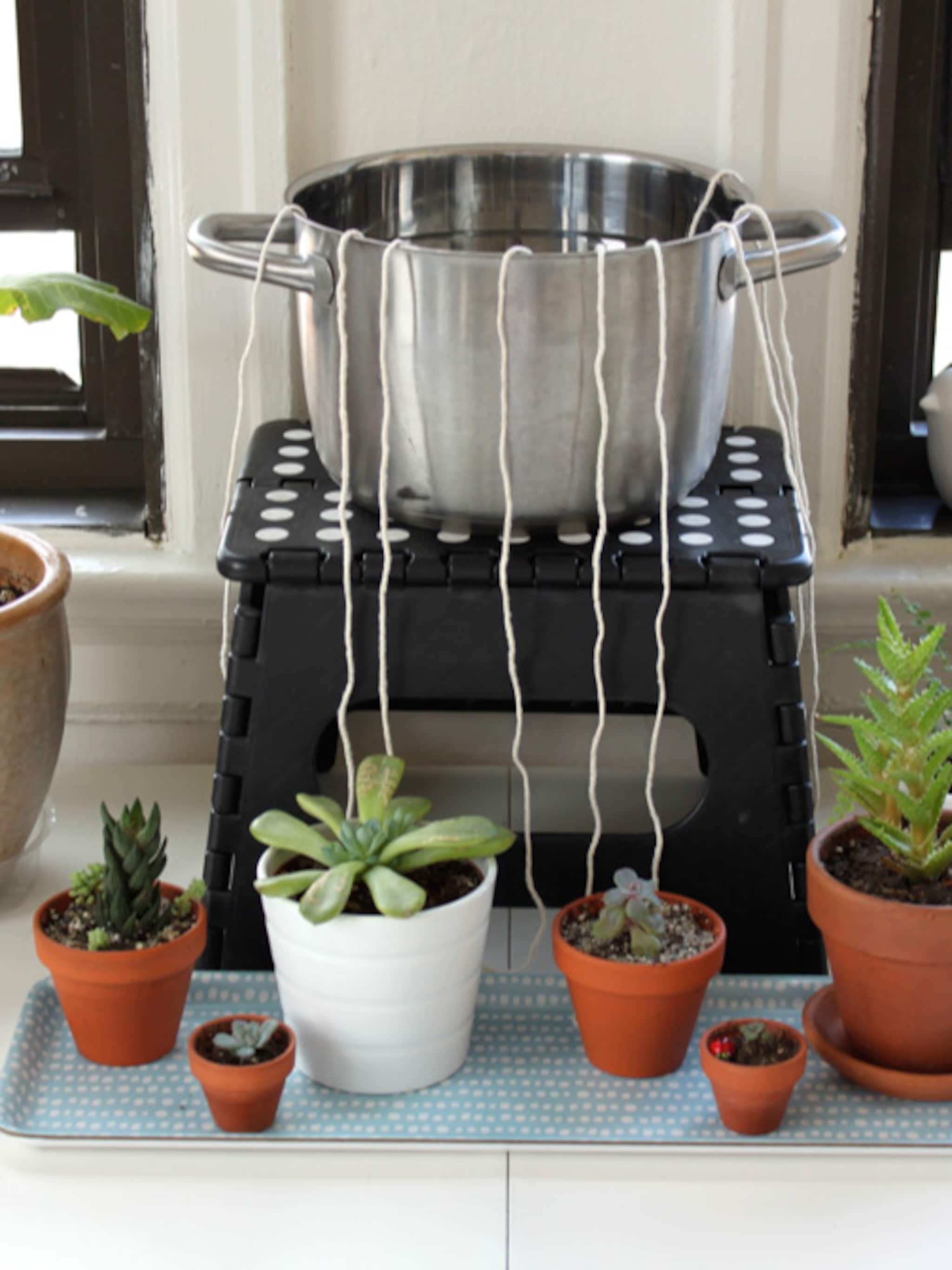 zelf maken plantenoppas