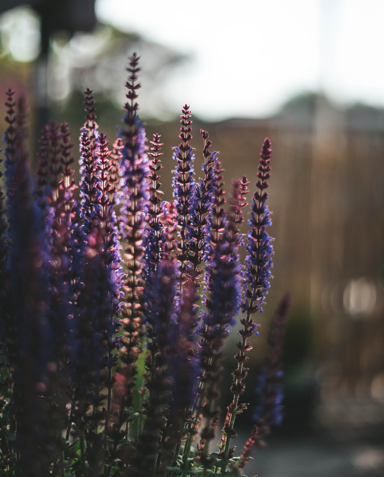 beeld vtwonen janine meuche via unsplash