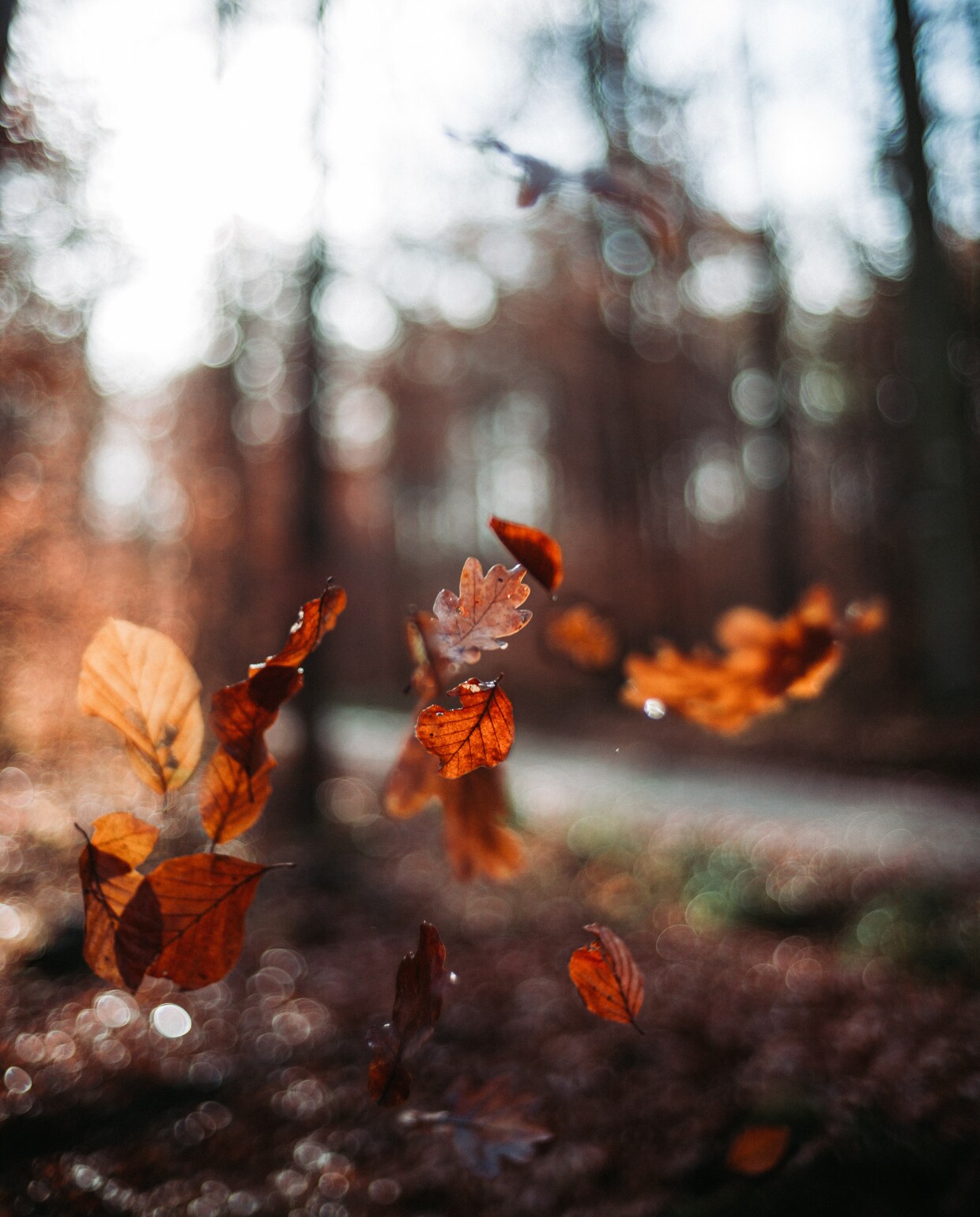 beeld vtwonen Beeld: unsplash