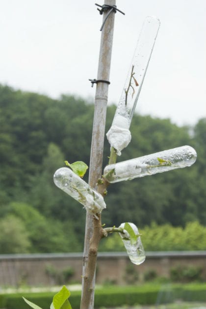 beeld vtwonen