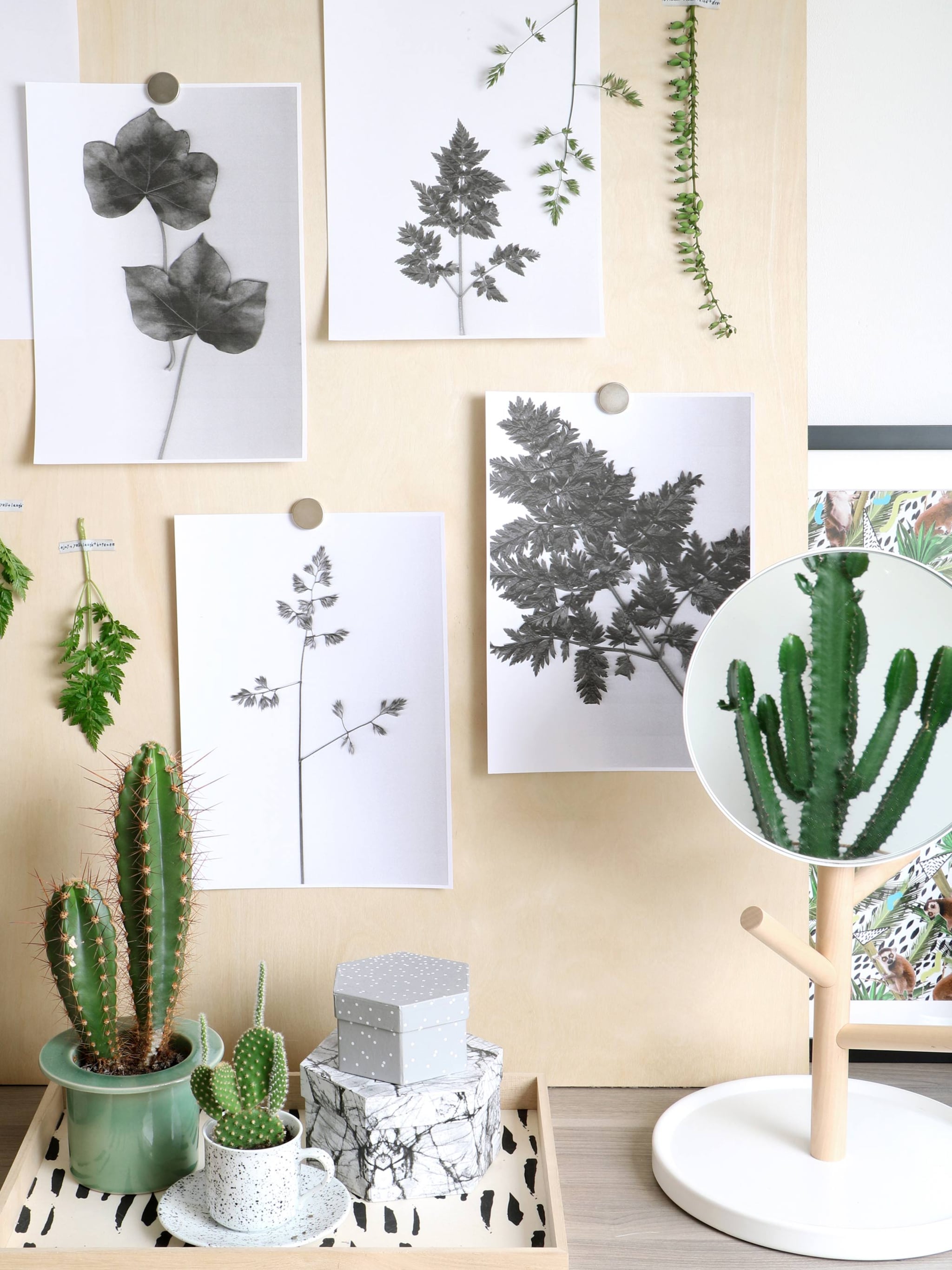diy botanische wanddecoratie