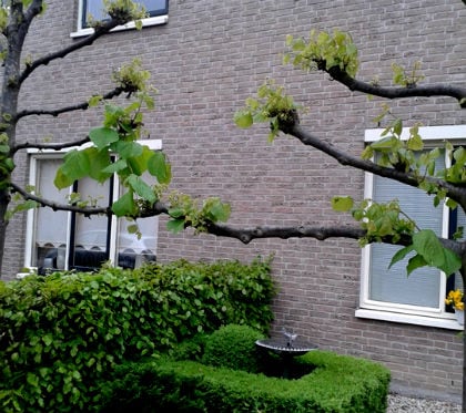 beeld vtwonen