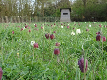 beeld vtwonen