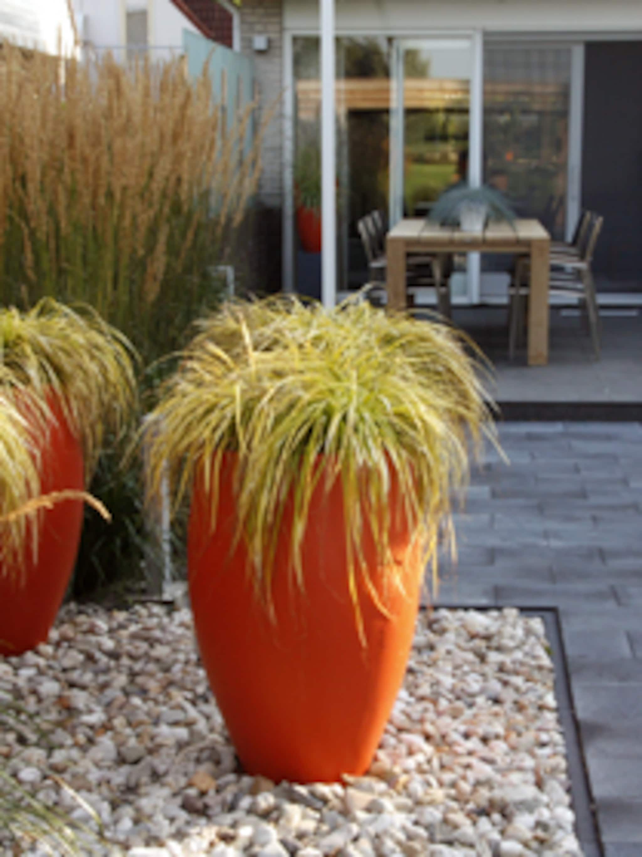 landelijk moderne tuin