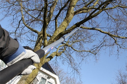 beeld vtwonen