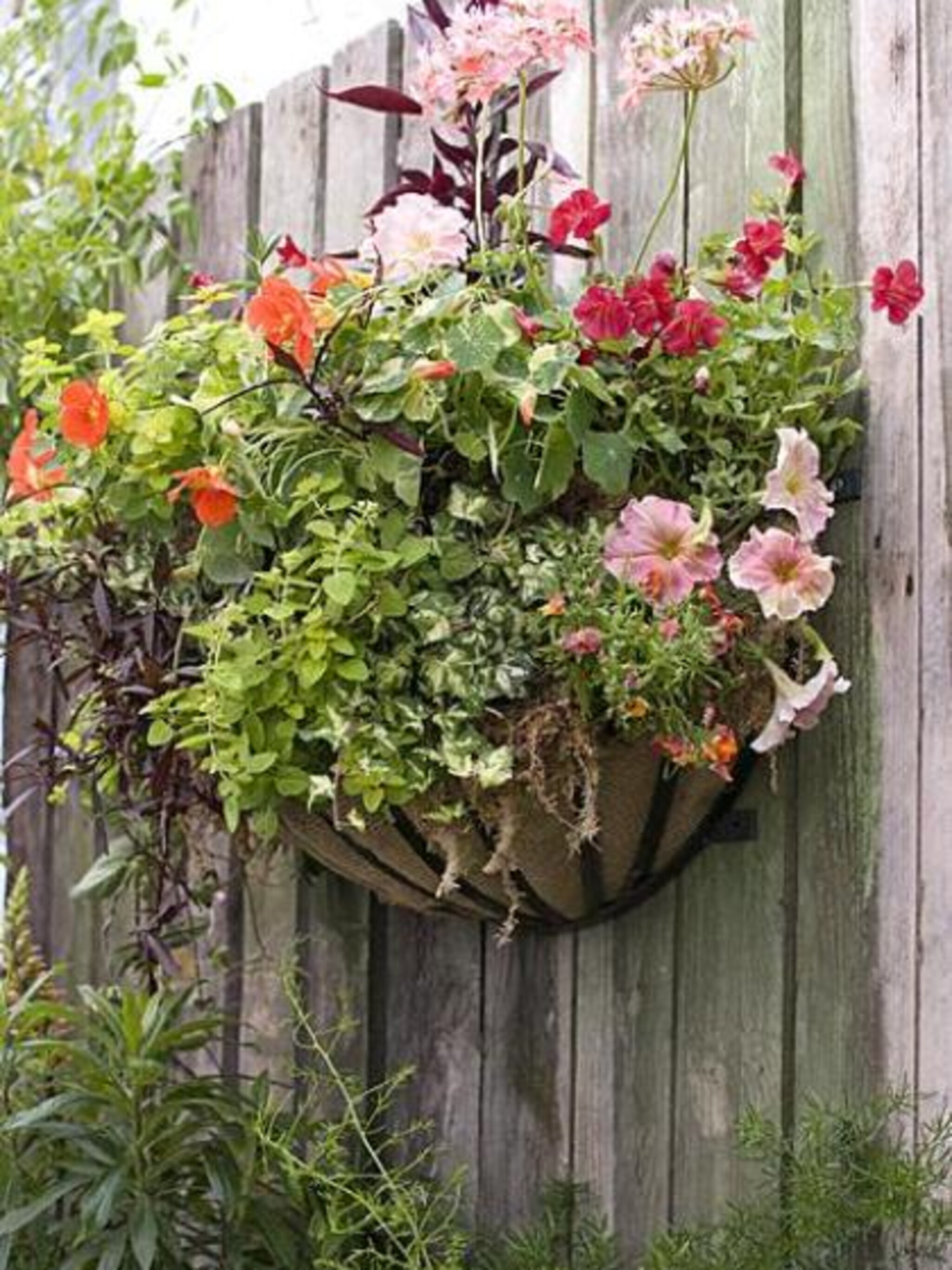 hanging baskets verzorgen
