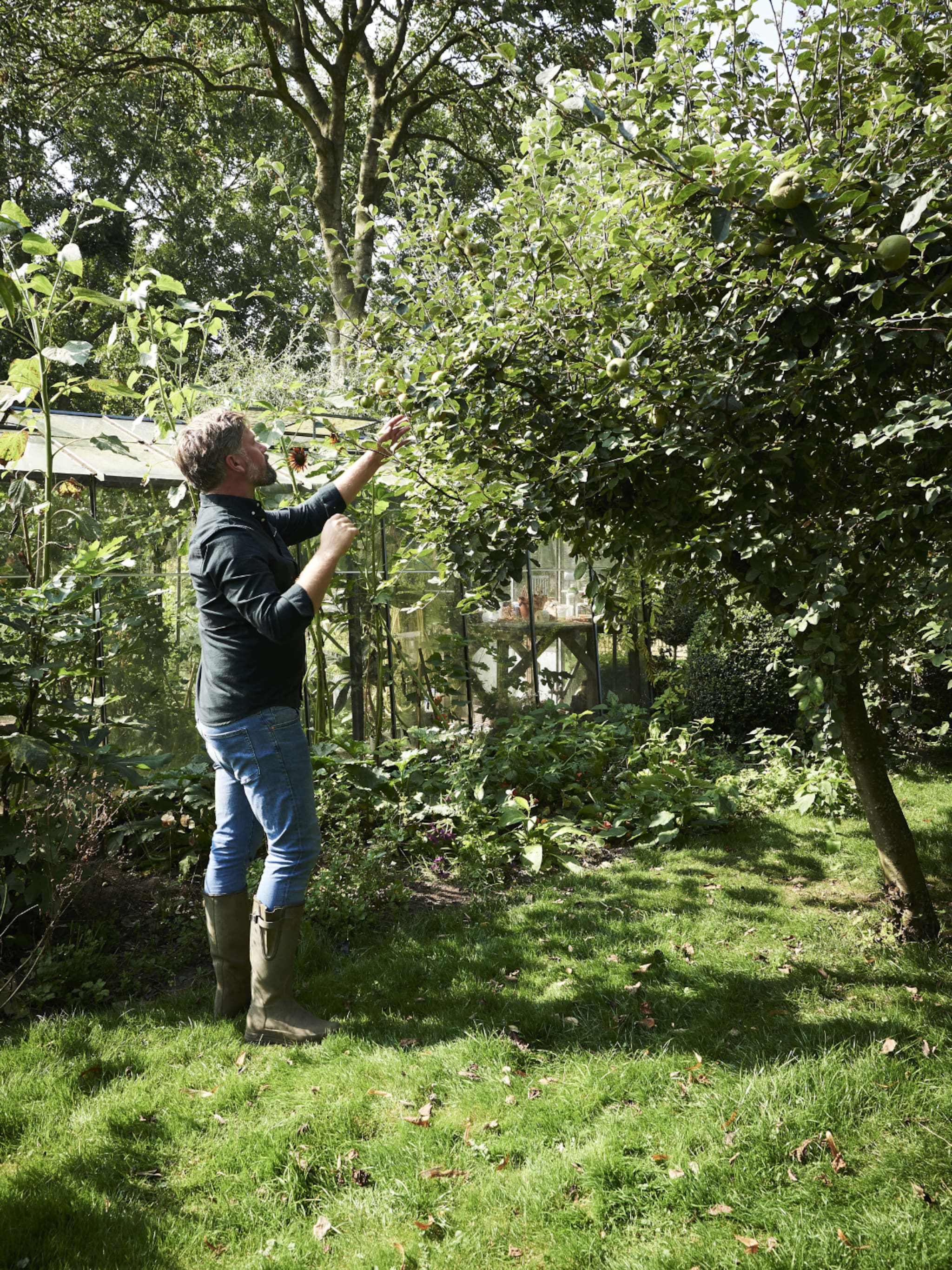 tuinkalender januari wat kun je deze maand in de tuin doen