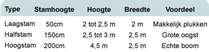 Appelboom kopen Appelboom kopen