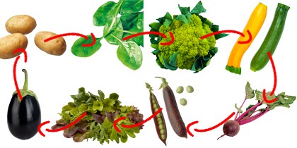 wisselteelt