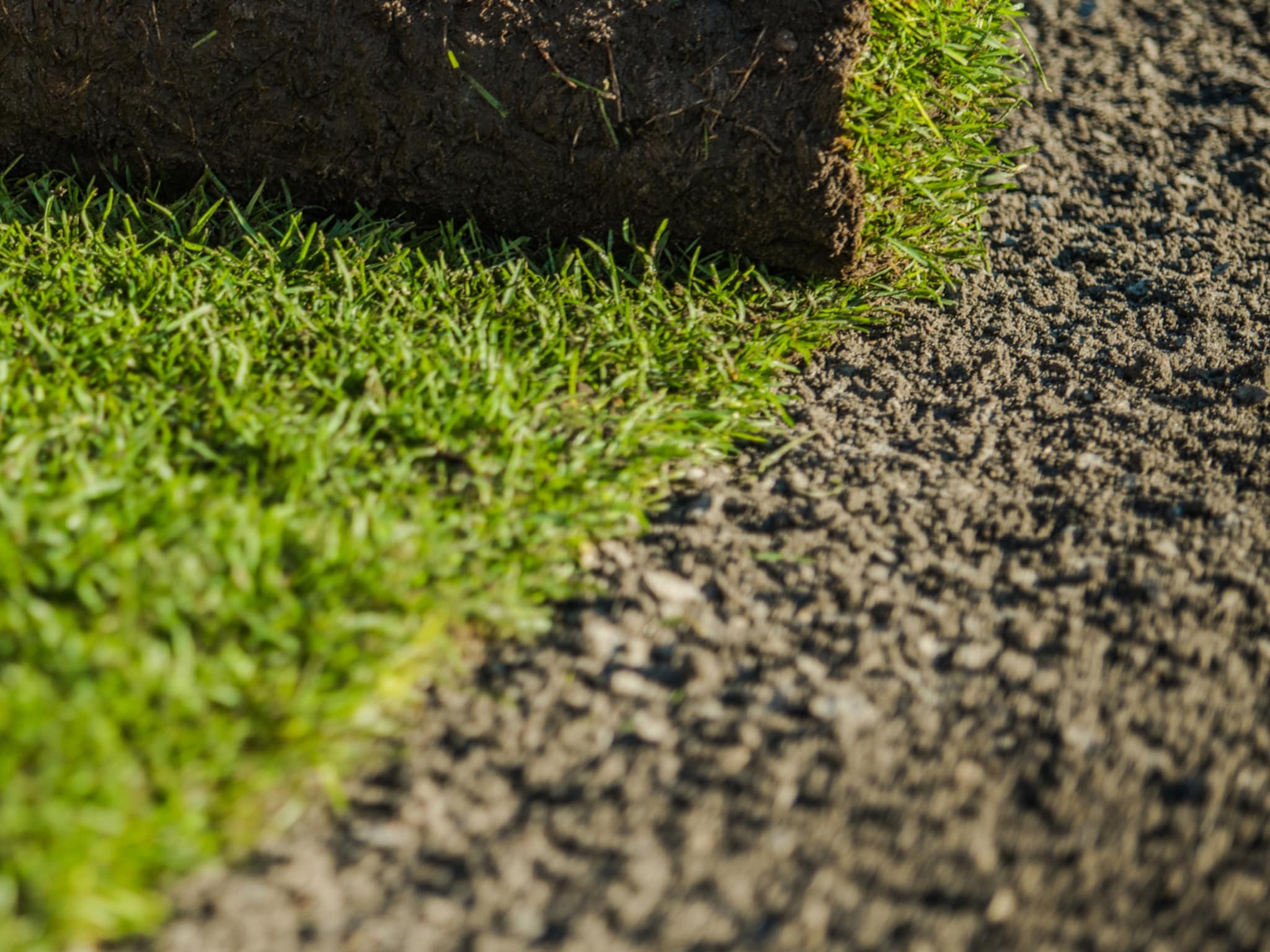 wanneer en hoe kun je het best graszoden leggen in 10 stappen naar een groen gazon