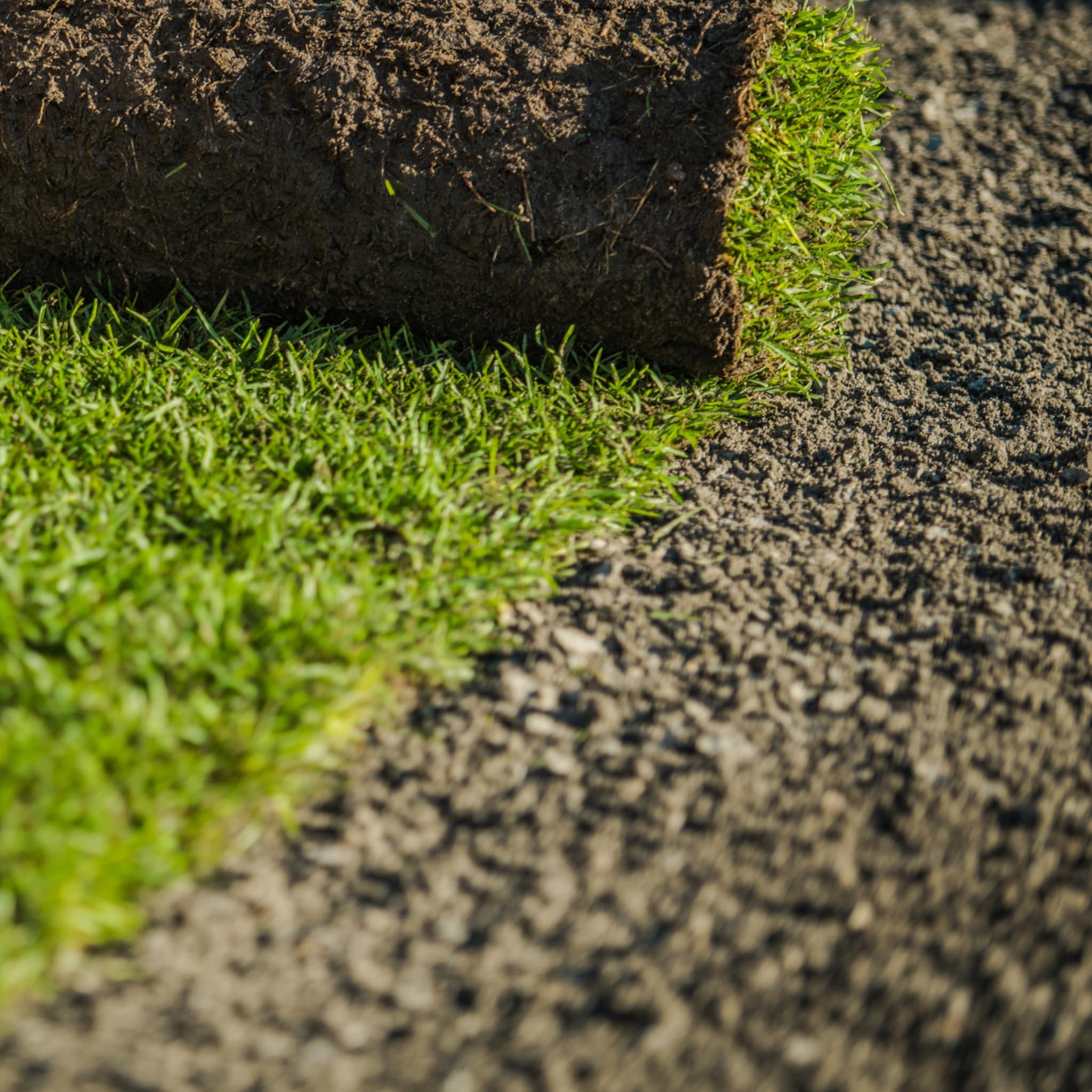 wanneer en hoe kun je het best graszoden leggen in 10 stappen naar een groen gazon