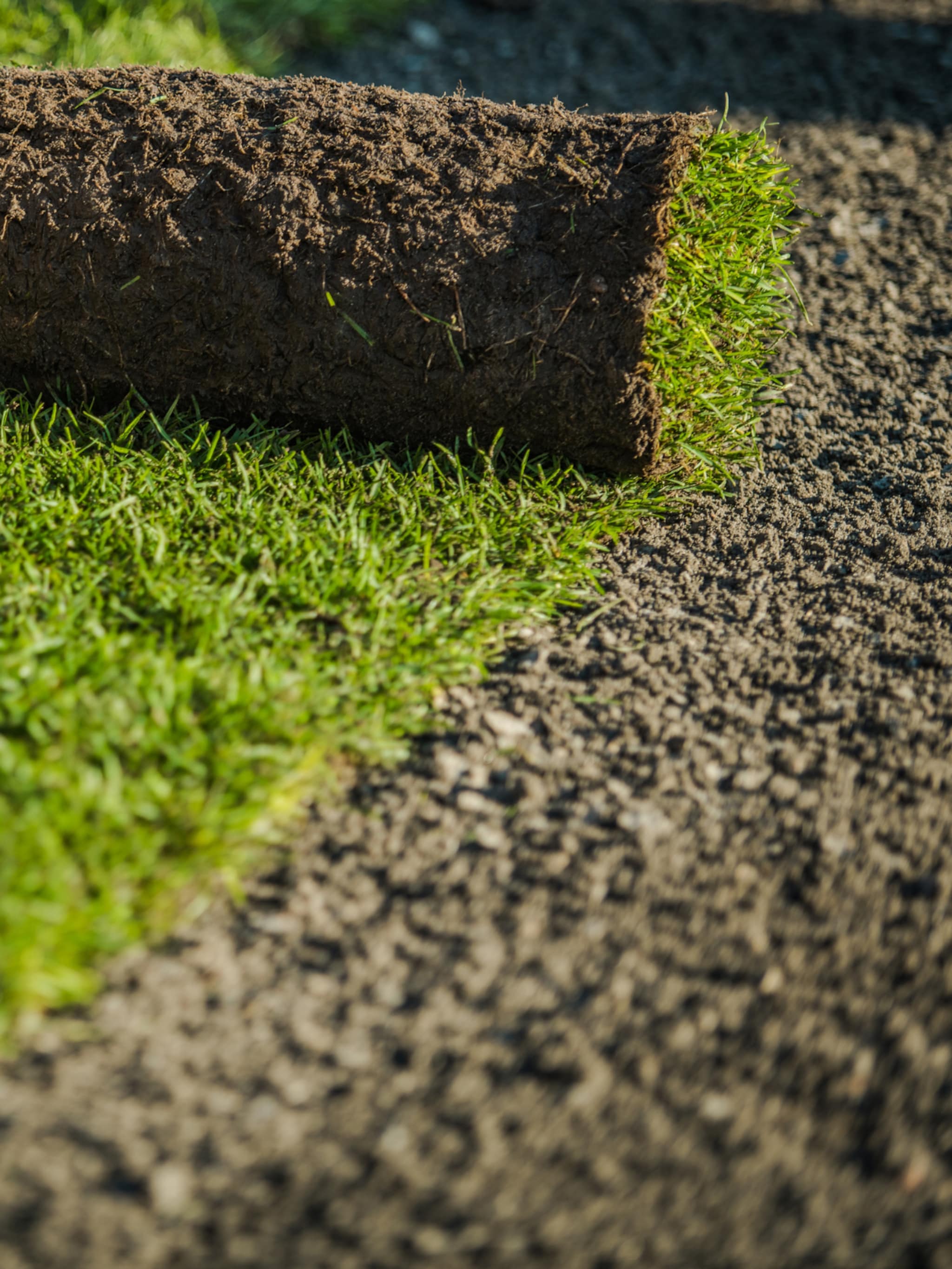 wanneer kun je het best graszoden leggen in 10 stappen naar een groen gazon