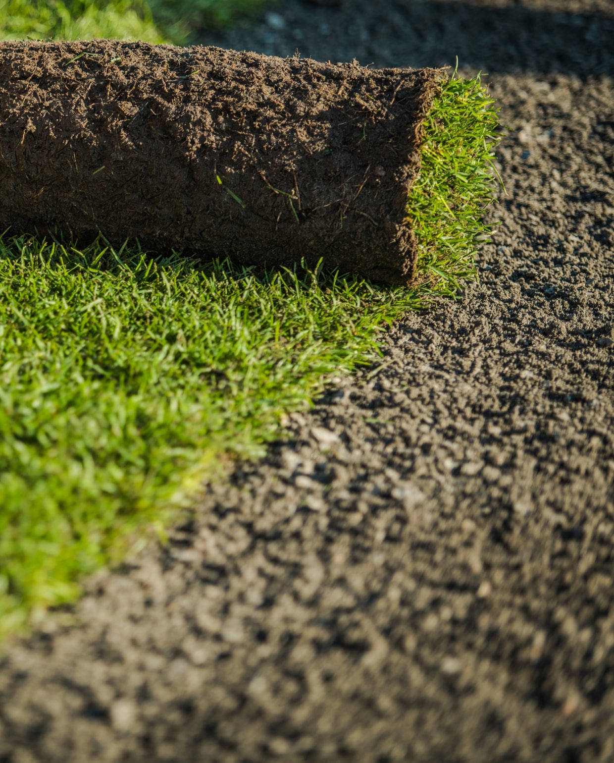 graszoden leggen Canva