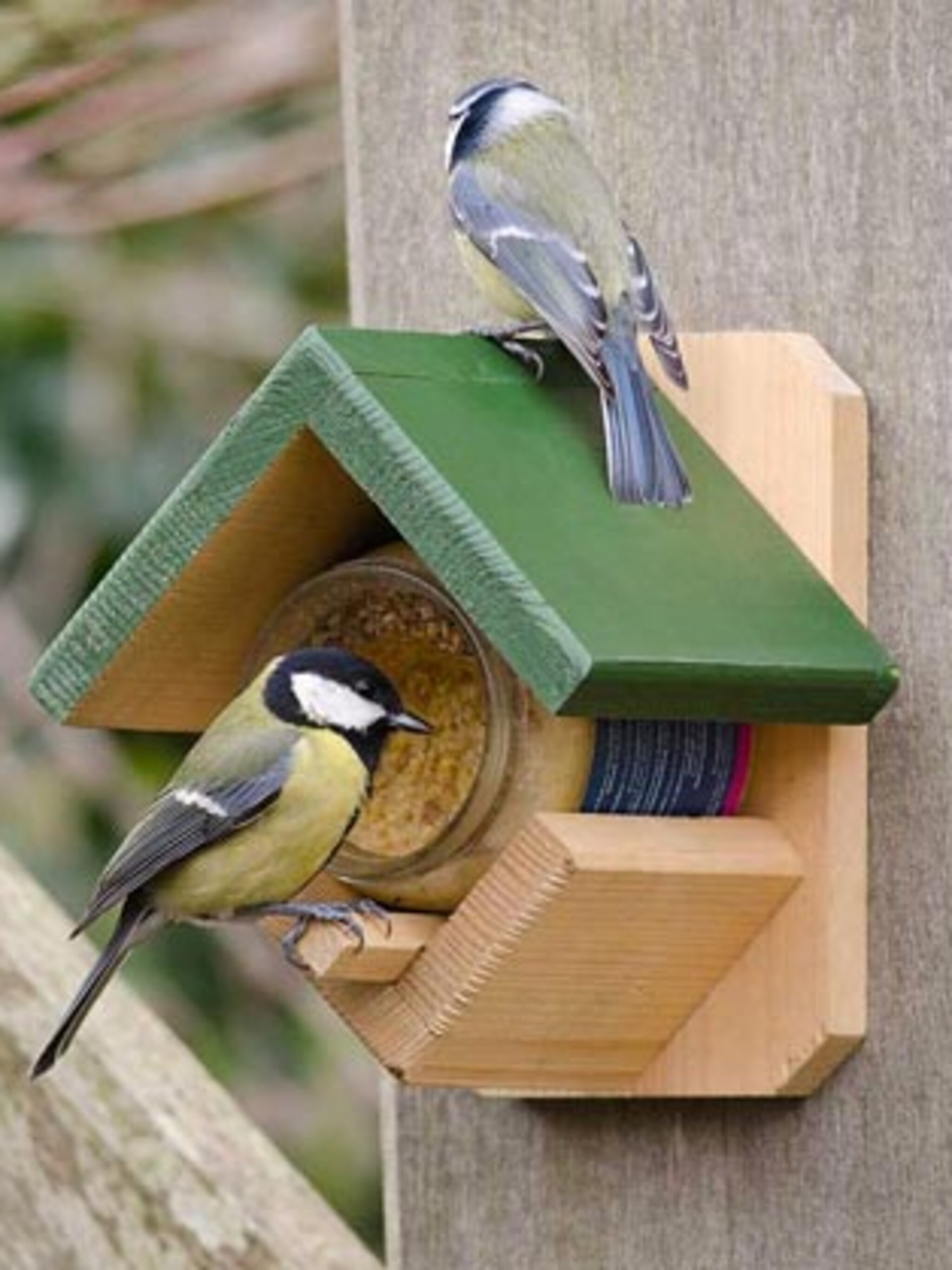 lekkernij voor vogels vogelpindakaas