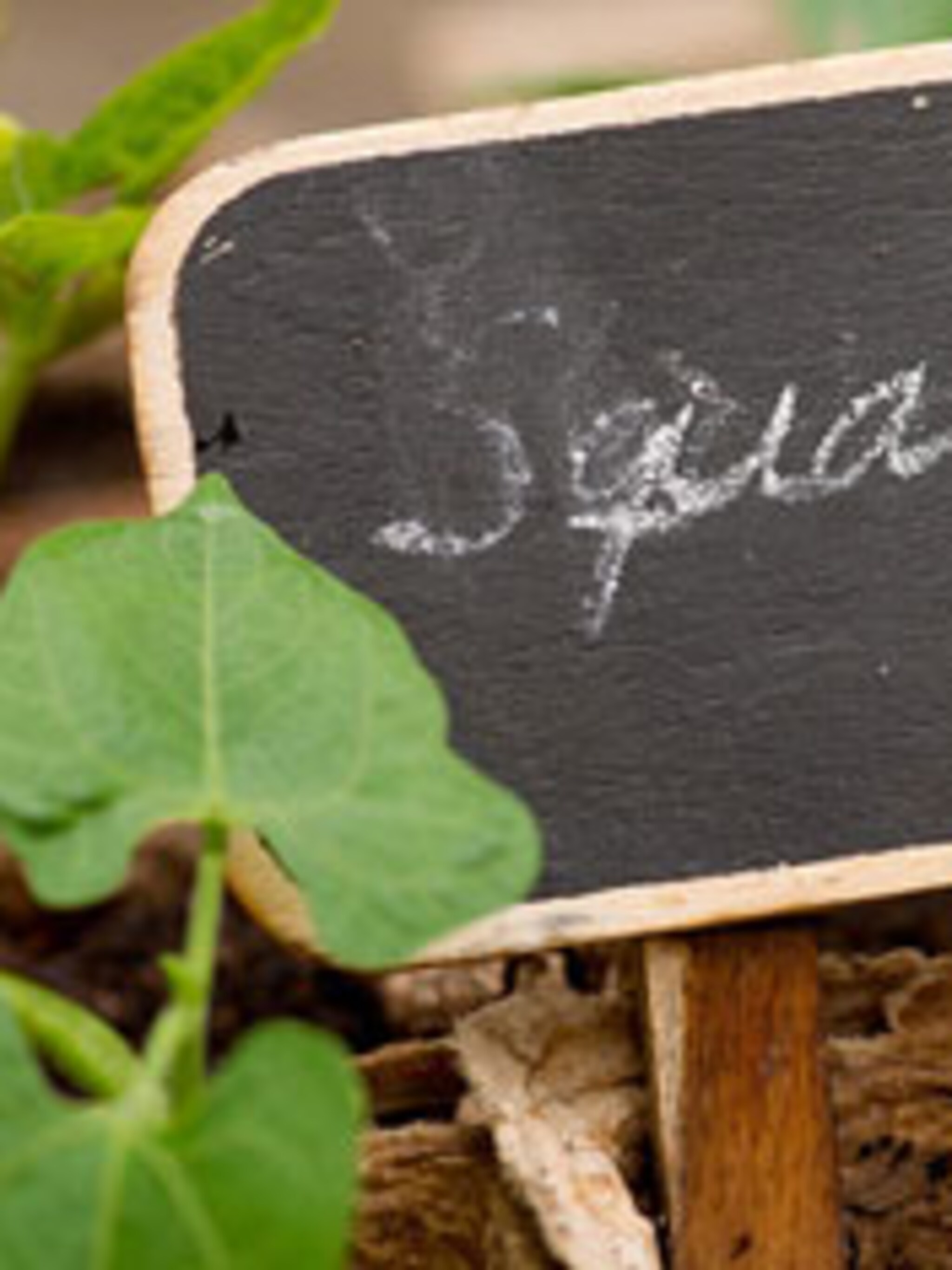zelf maken moestuinkaartjes
