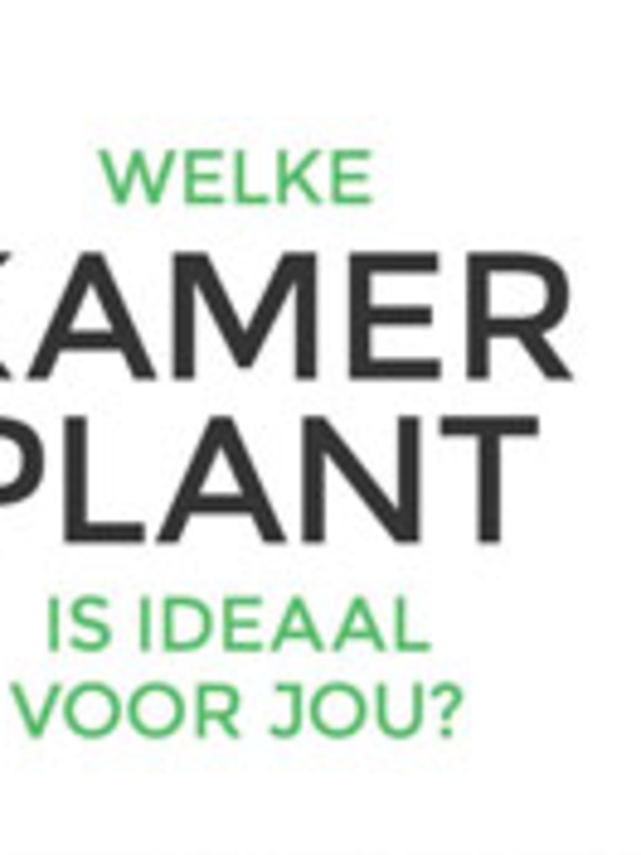 welke kamerplant past bij jou