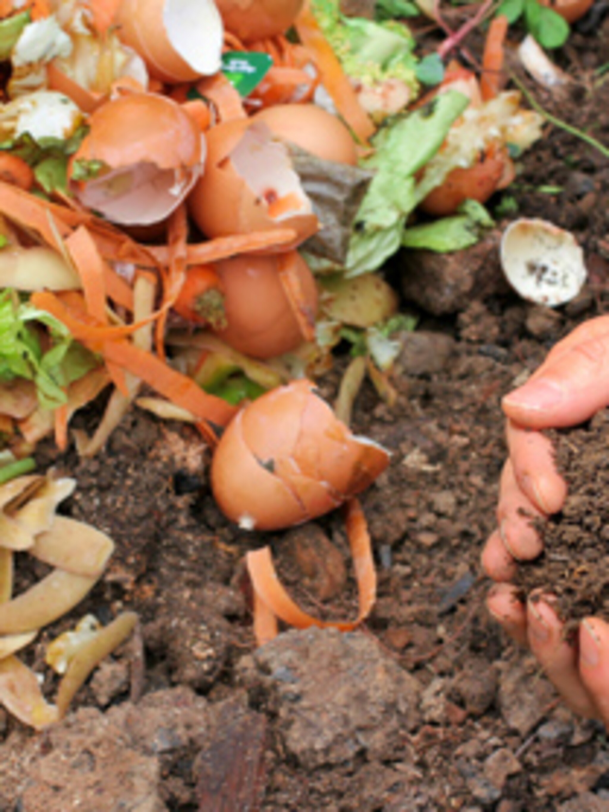 compost maken