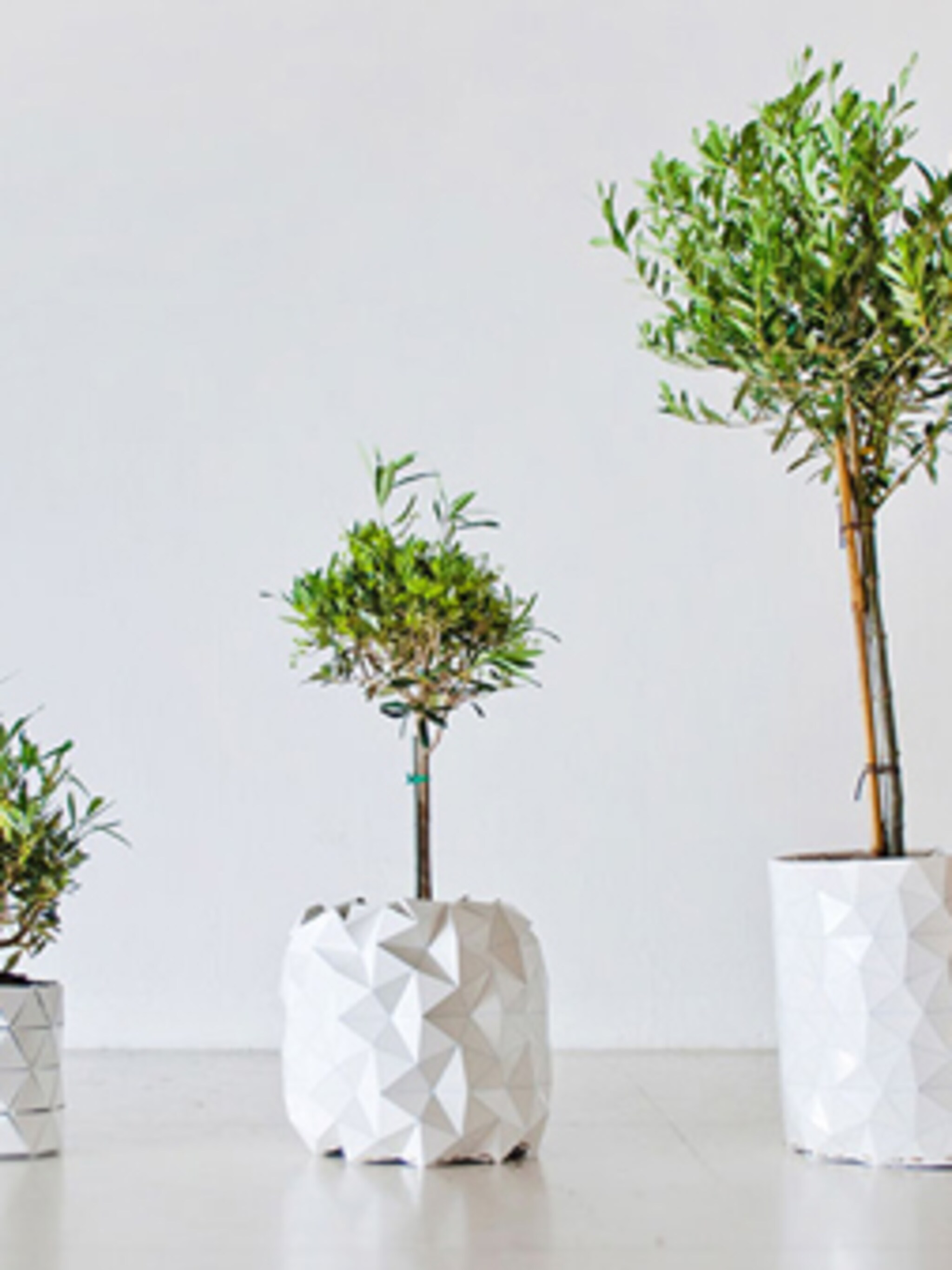 deze plantenpot groeit mee met je plant