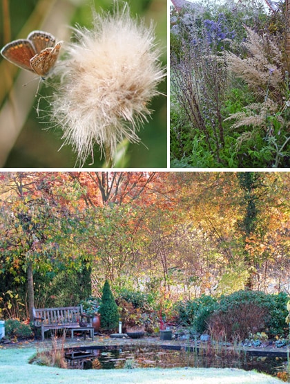 beeld vtwonen herfststuin
