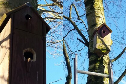 beeld vtwonen