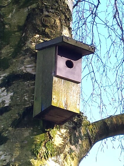 beeld vtwonen
