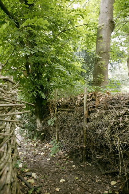beeld vtwonen