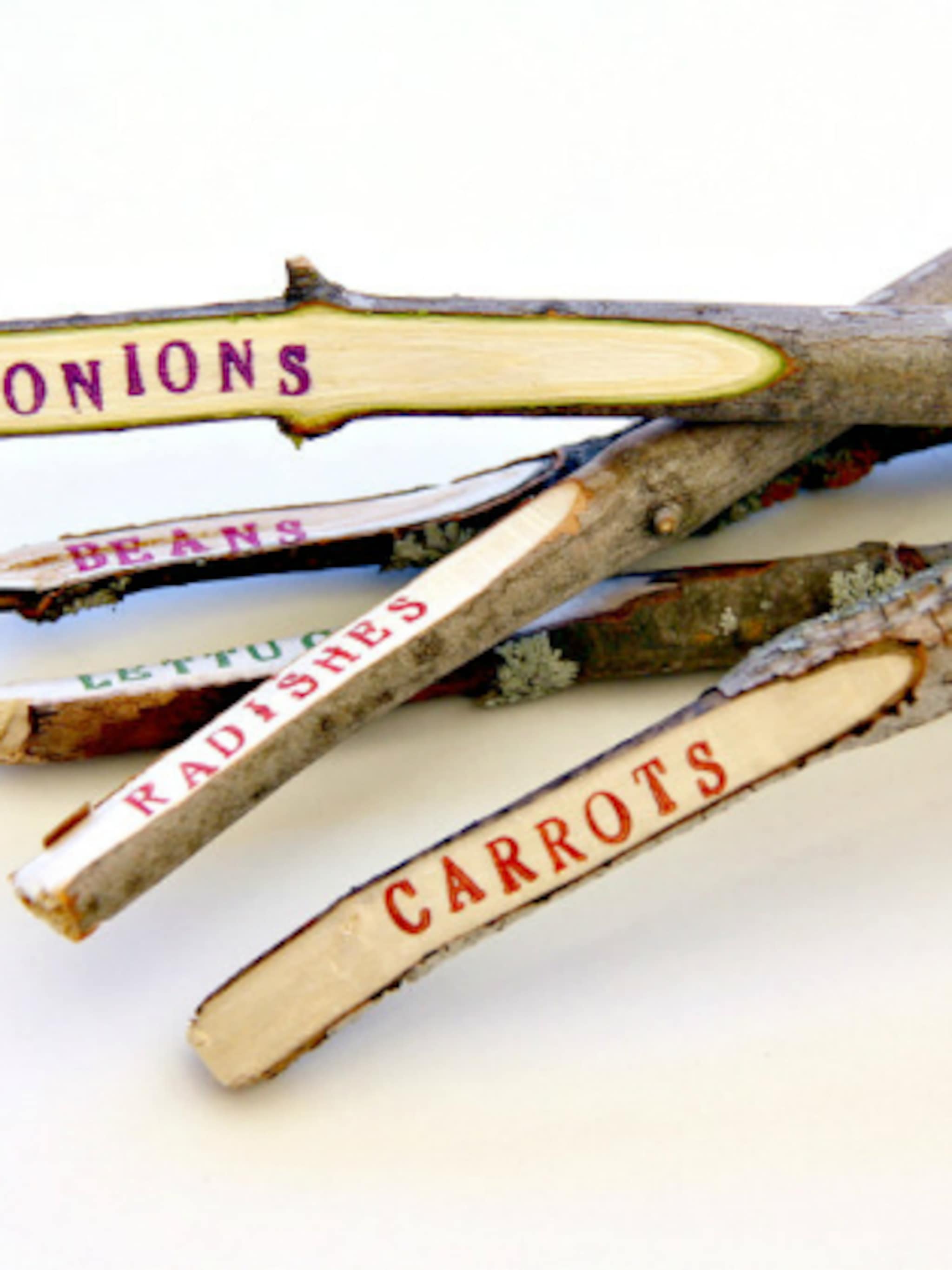 plantlabels van takjes