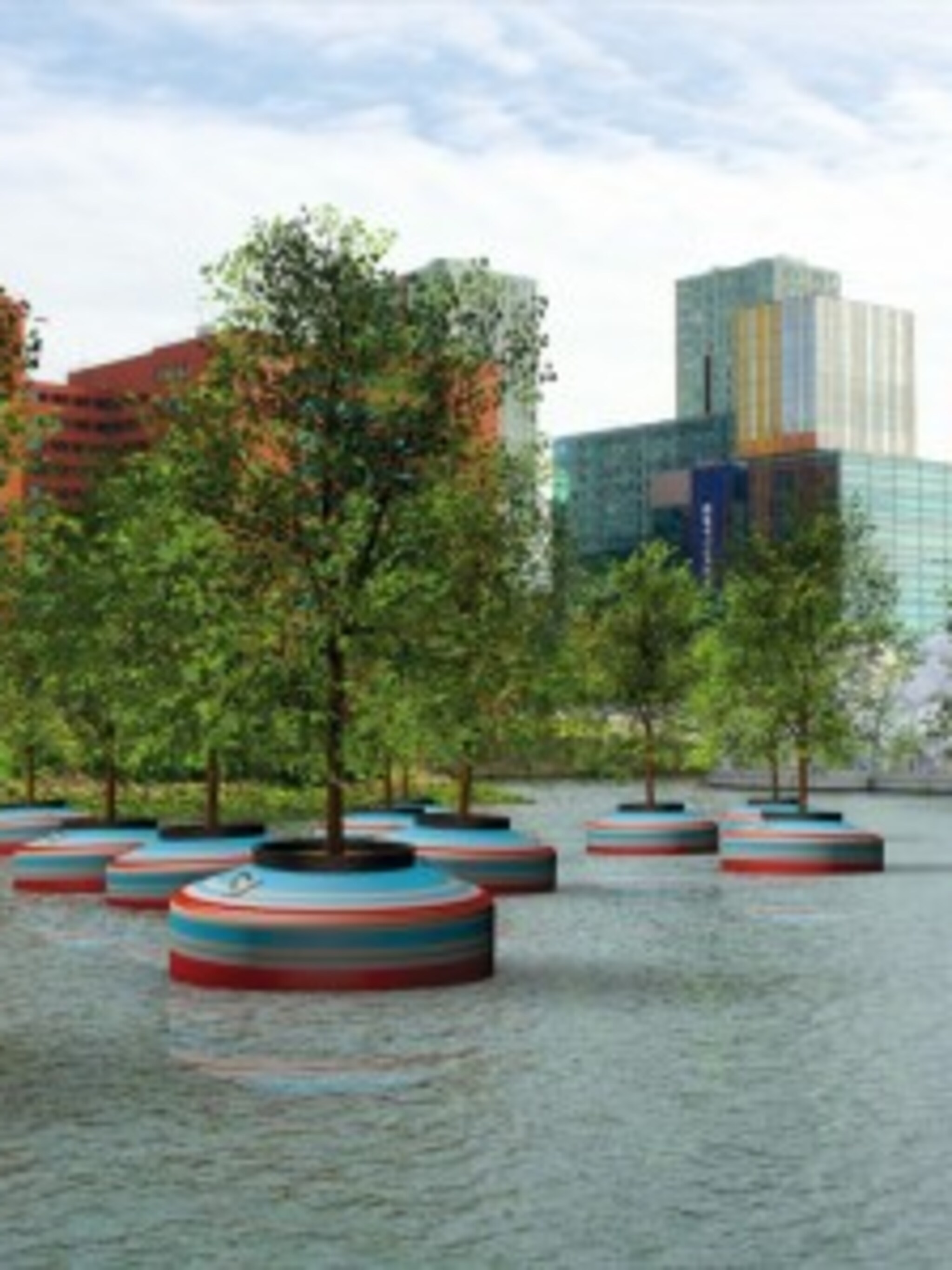 drijvende bomen rotterdam