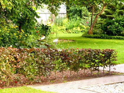 beeld vtwonen