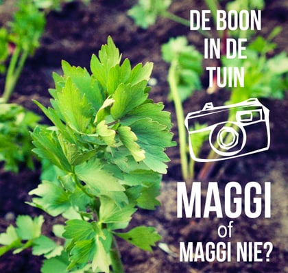beeld vtwonen