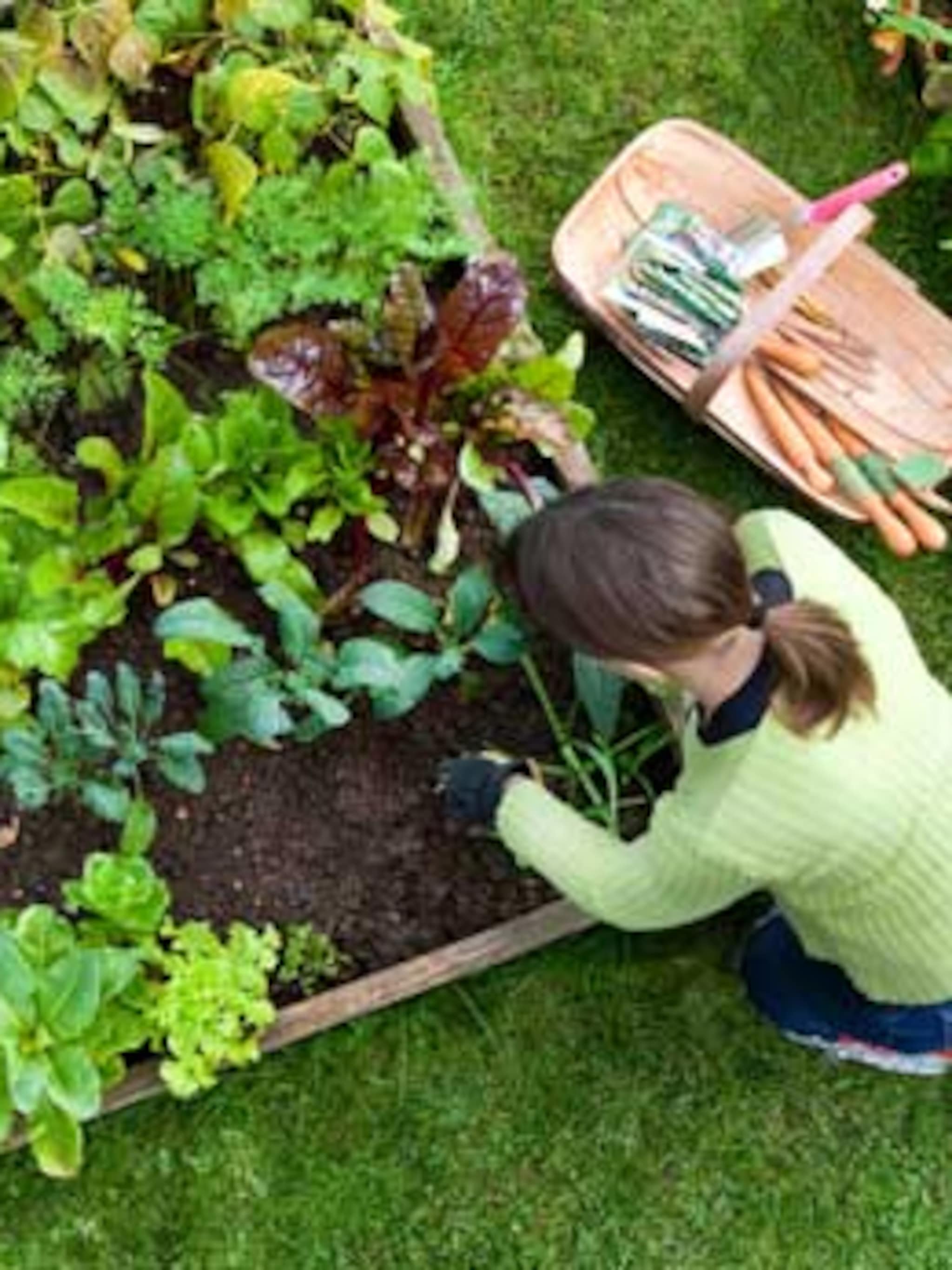 alles voor de moestuin