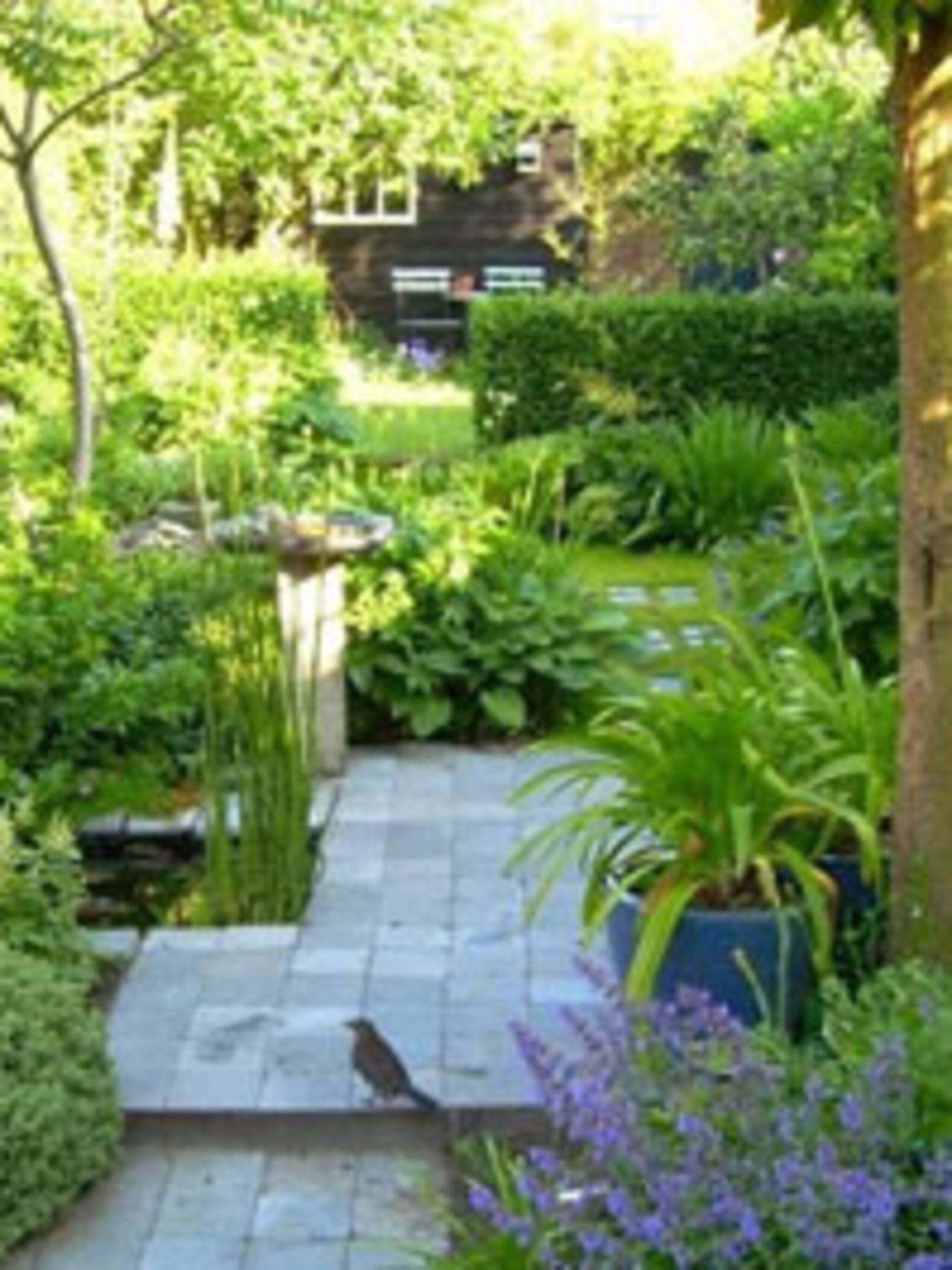 laat je tuin ontwerpen