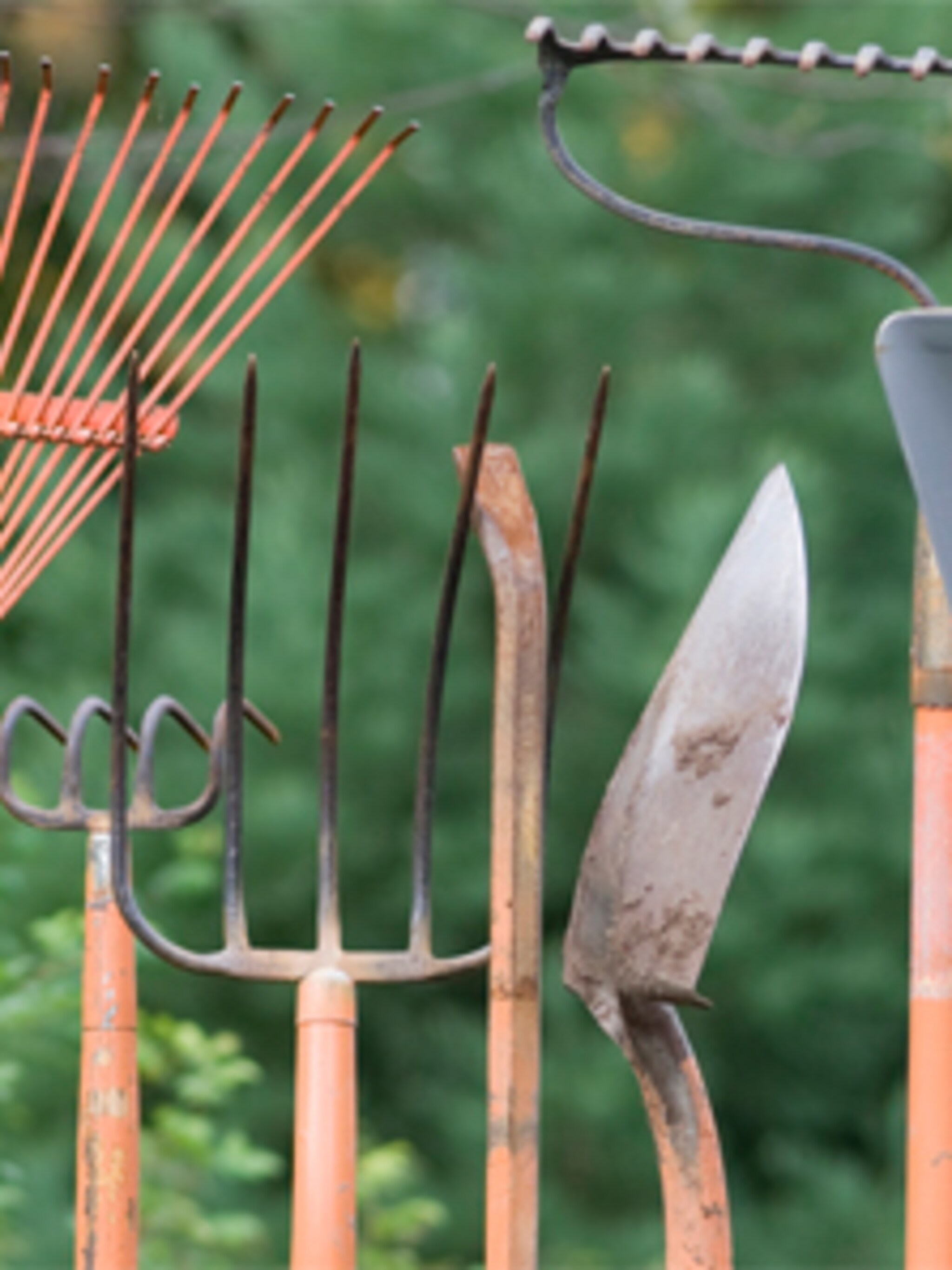 cursus tuin ontwerpen
