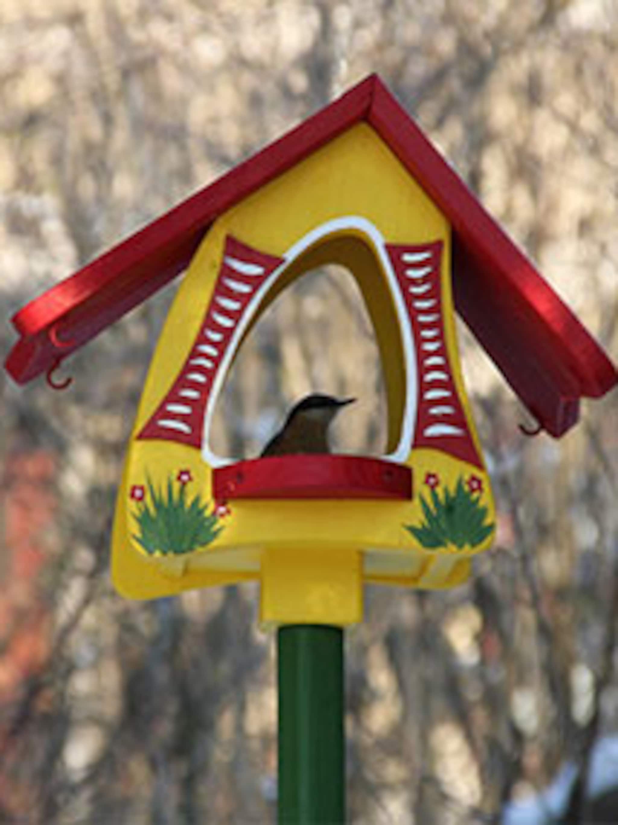 insecten en vogelvilla s