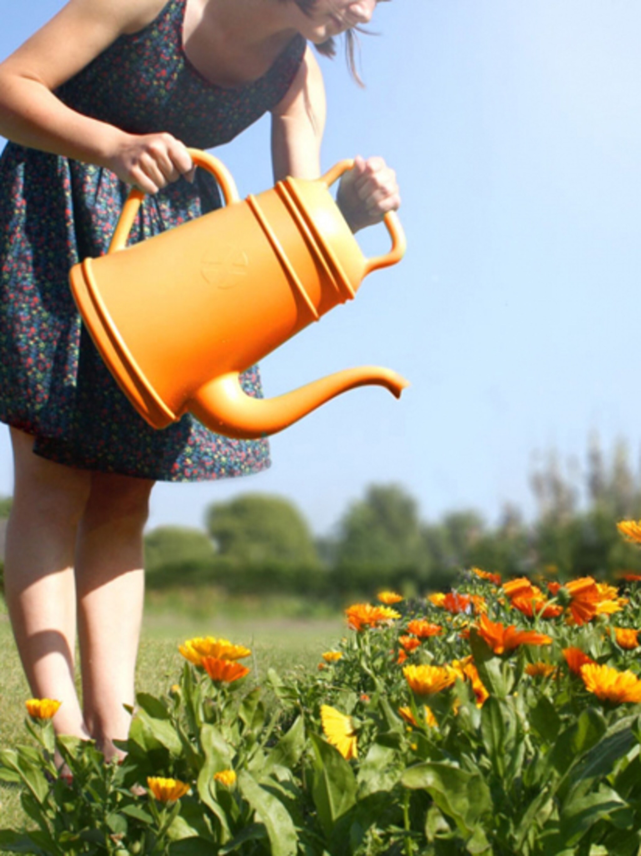 oranje in de tuin