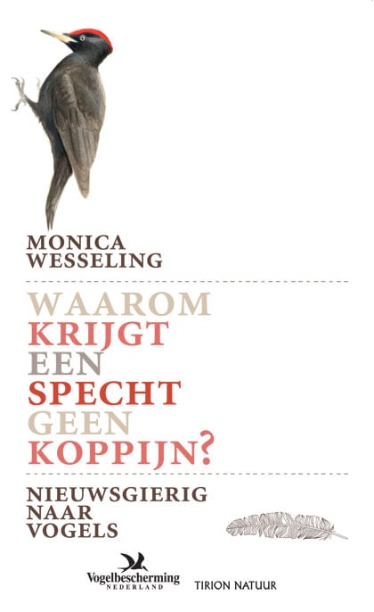 beeld vtwonen