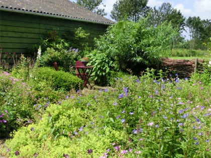 Kijktuin: natuurlijke cottage tuin